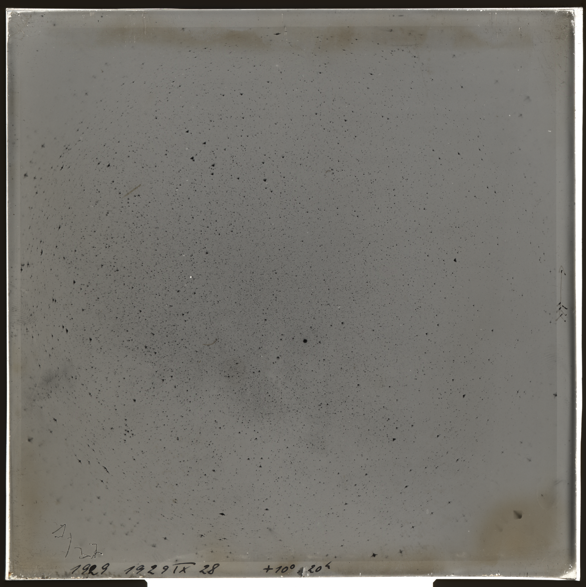 Plate preview