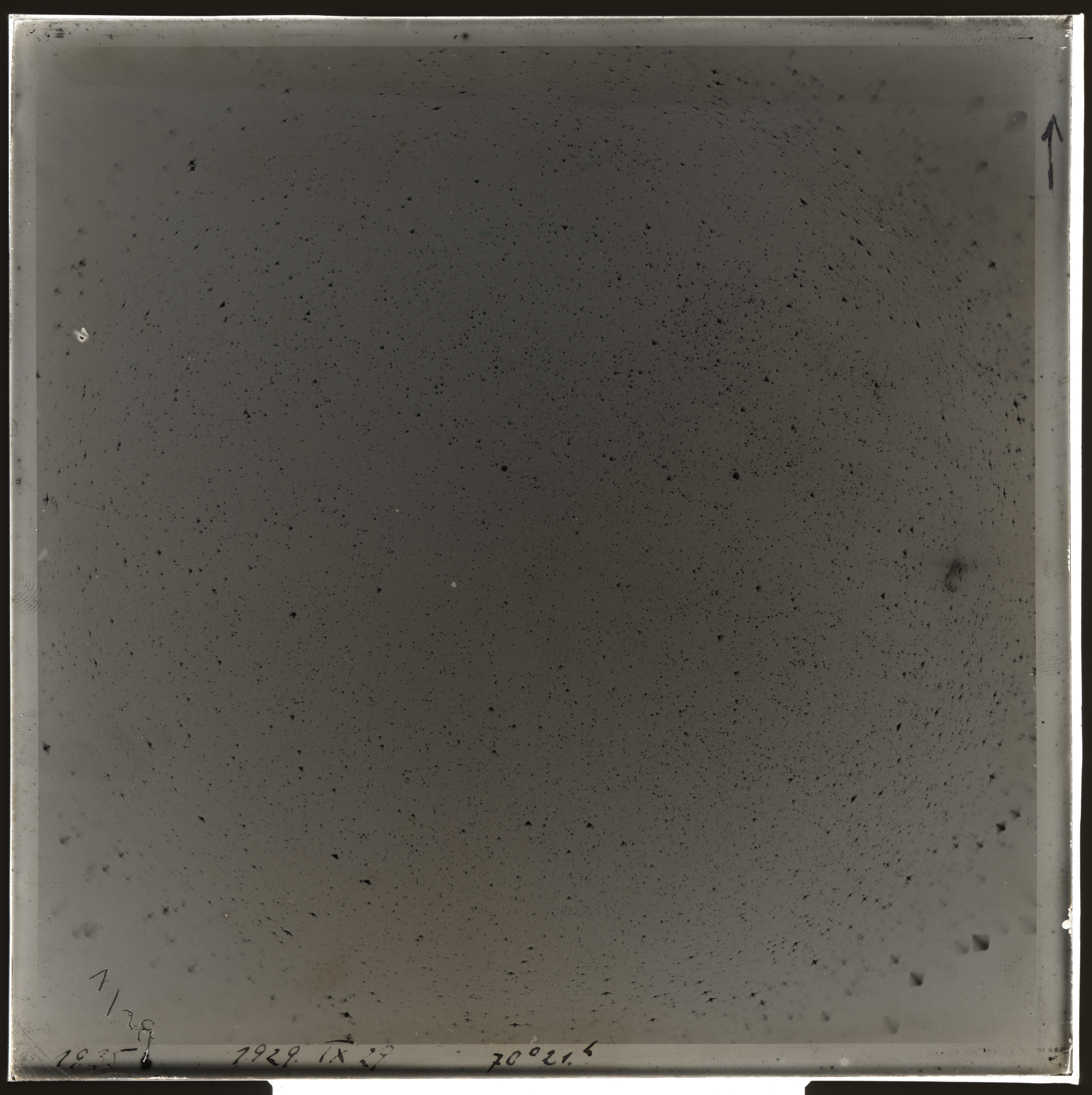 Plate preview