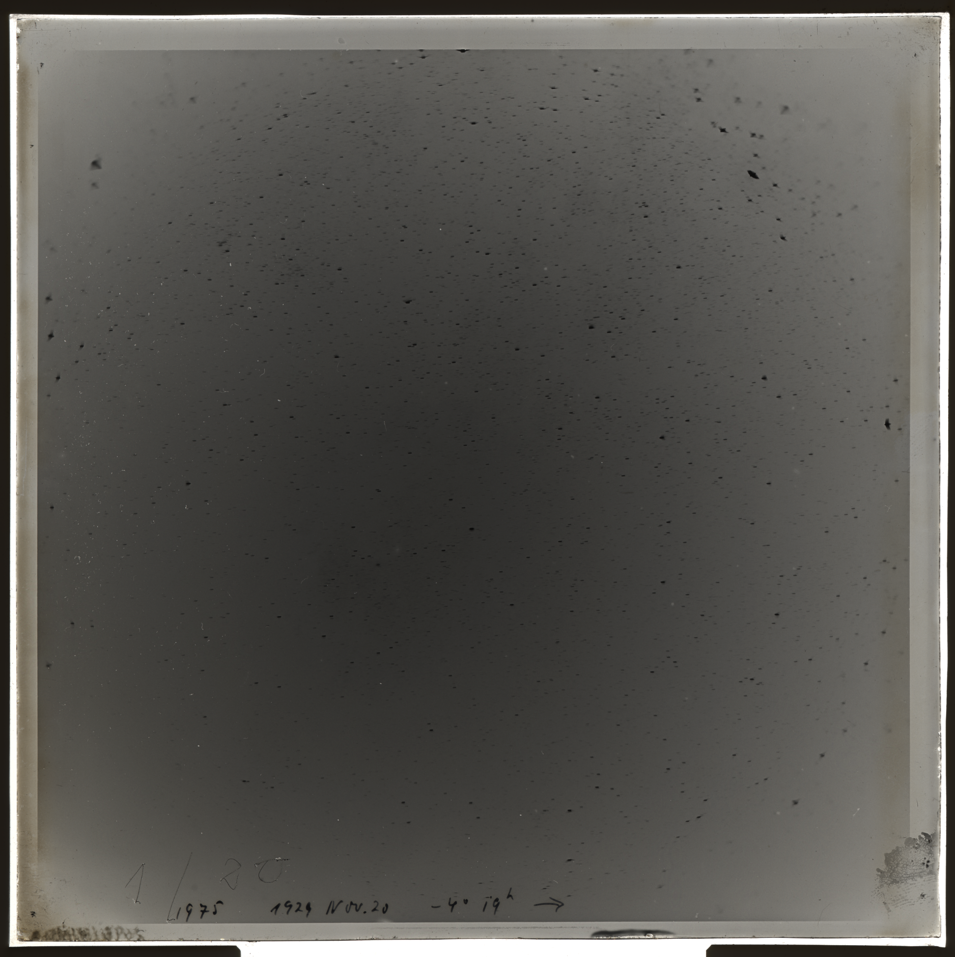 Plate preview