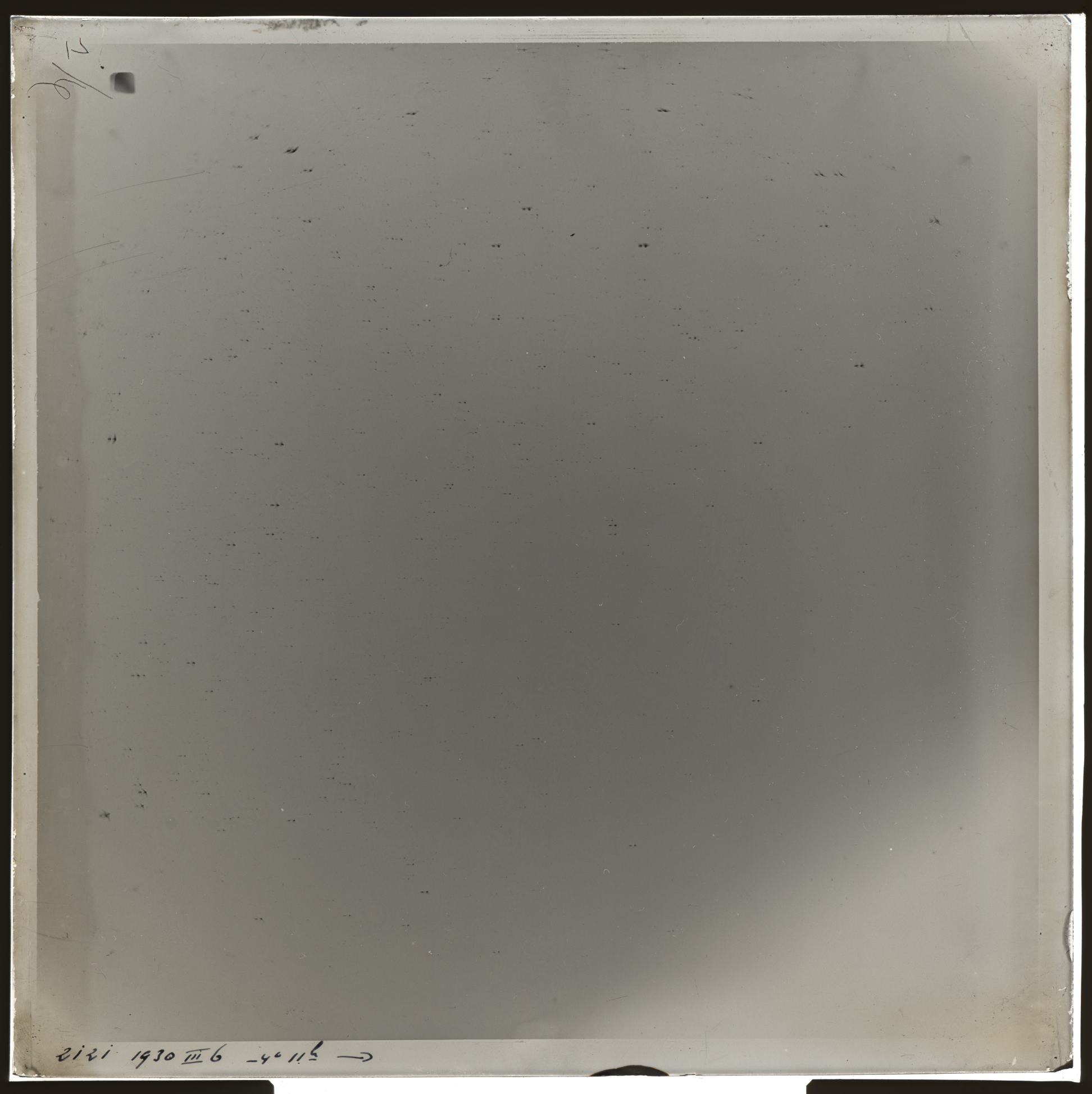 Plate preview