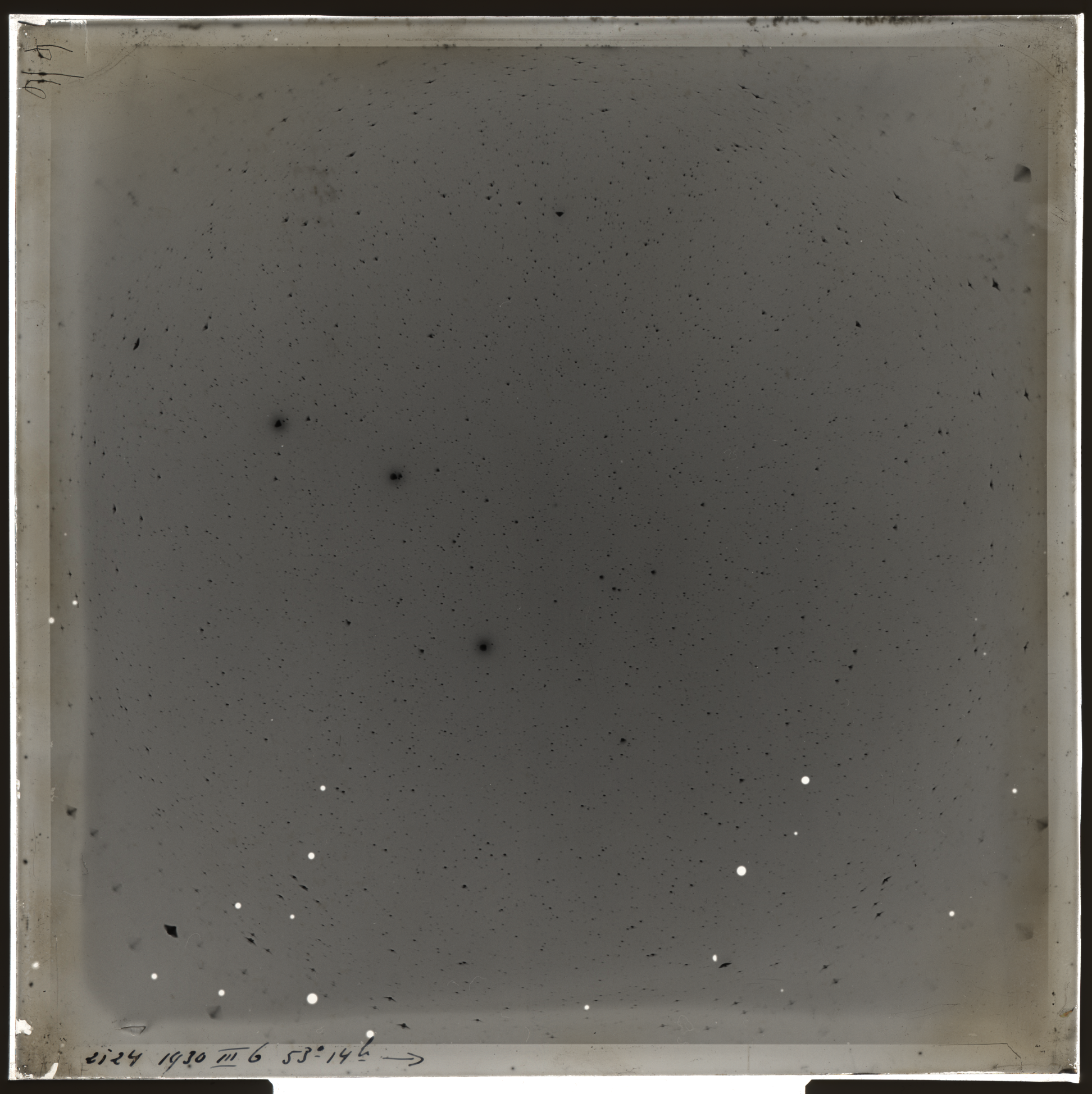 Plate preview