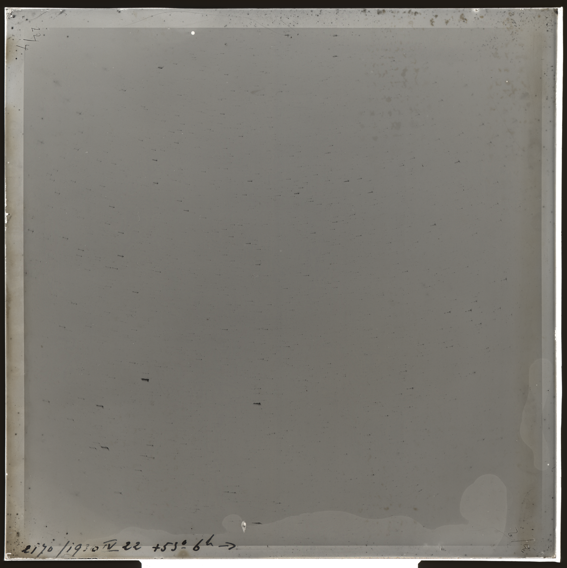 Plate preview