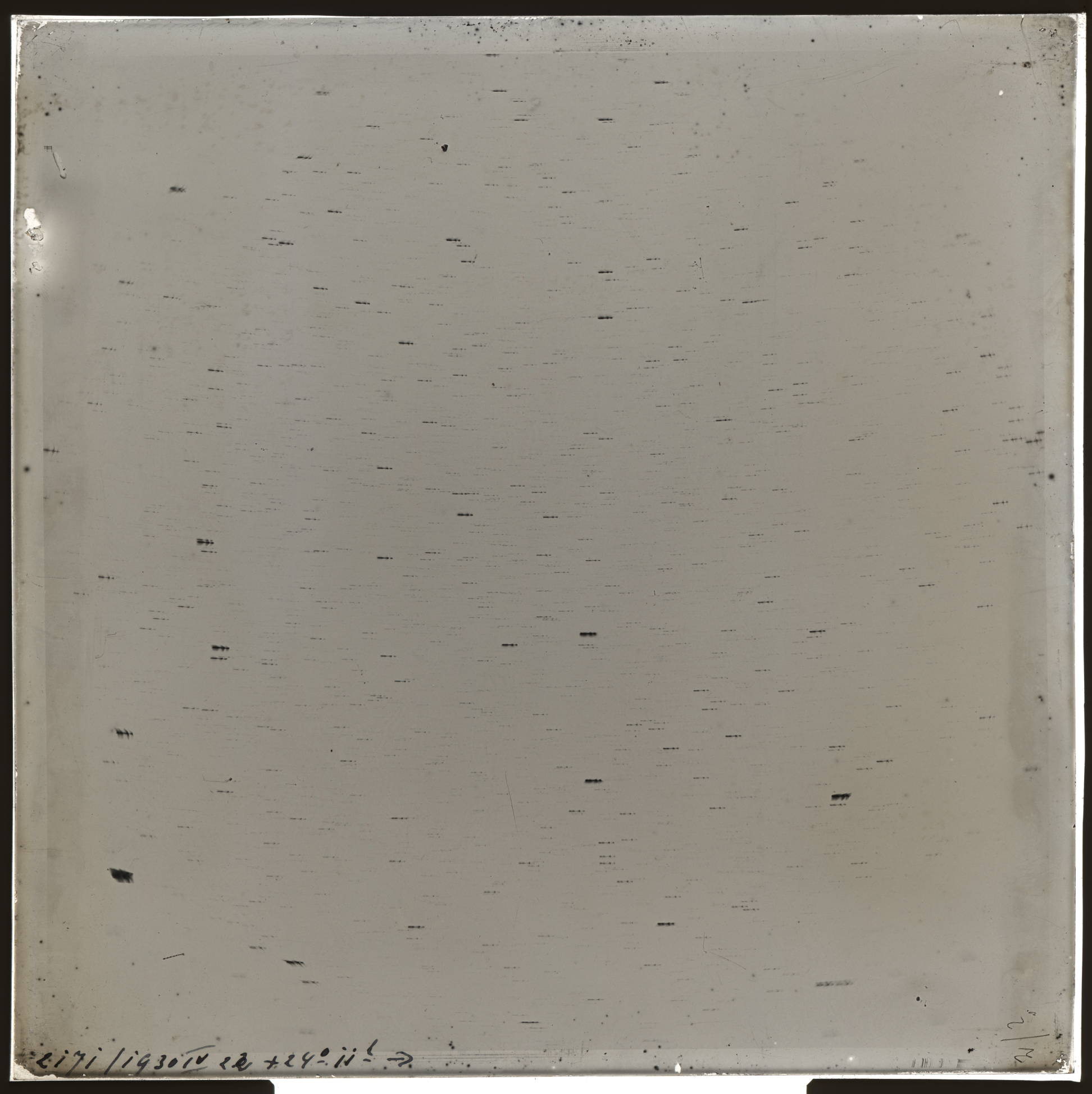 Plate preview