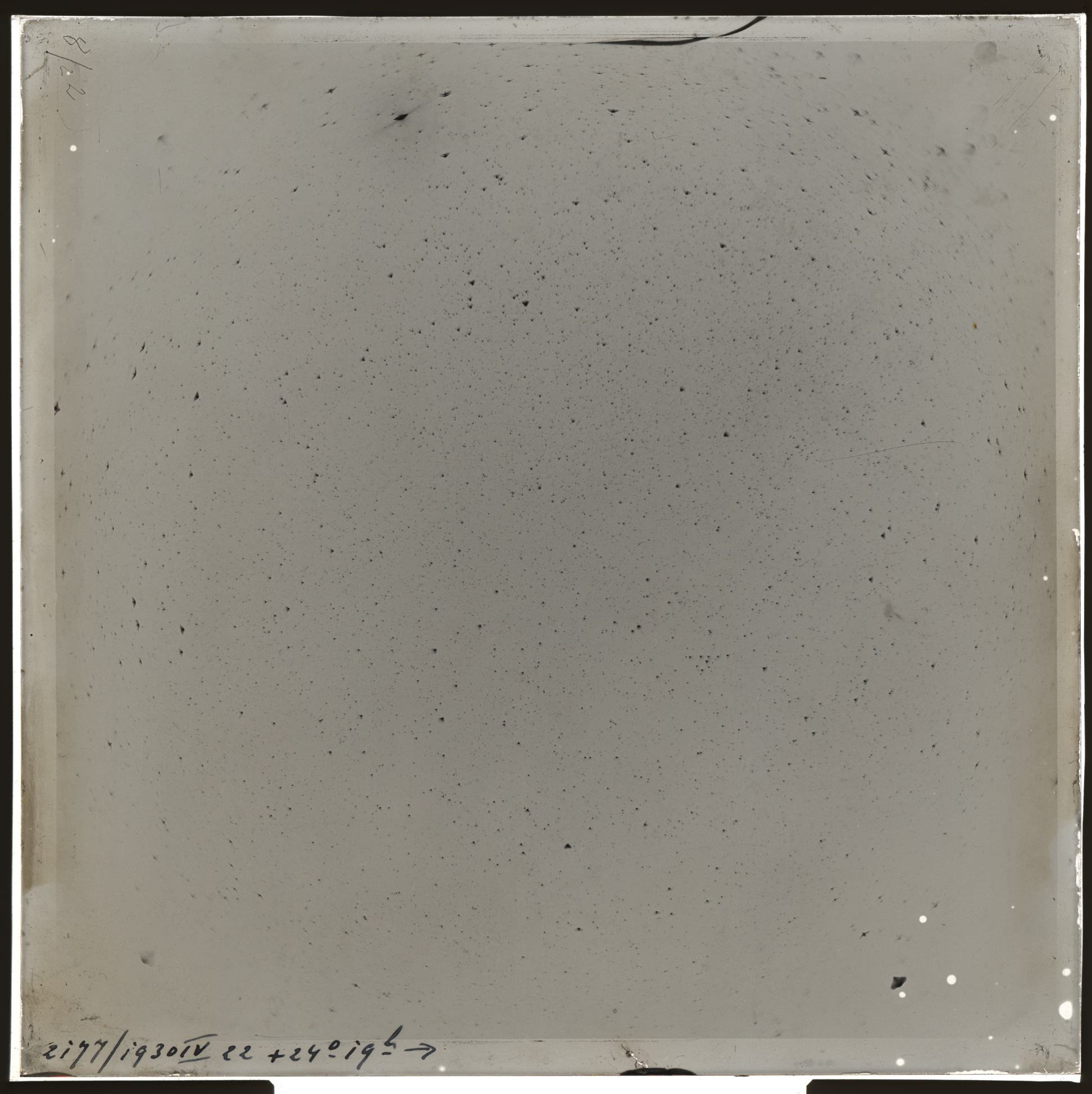 Plate preview