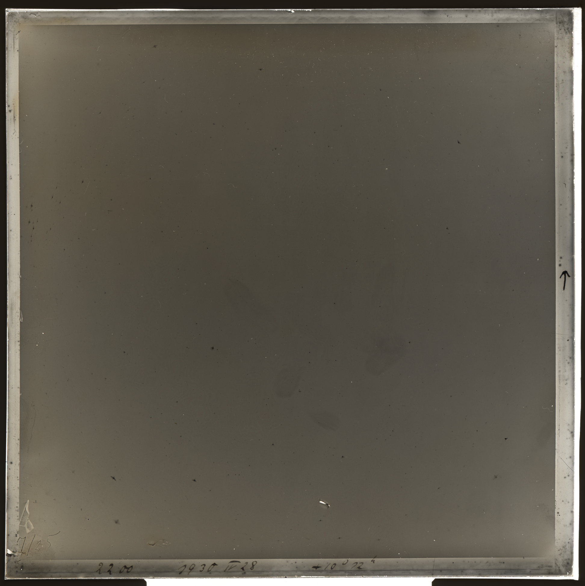 Plate preview