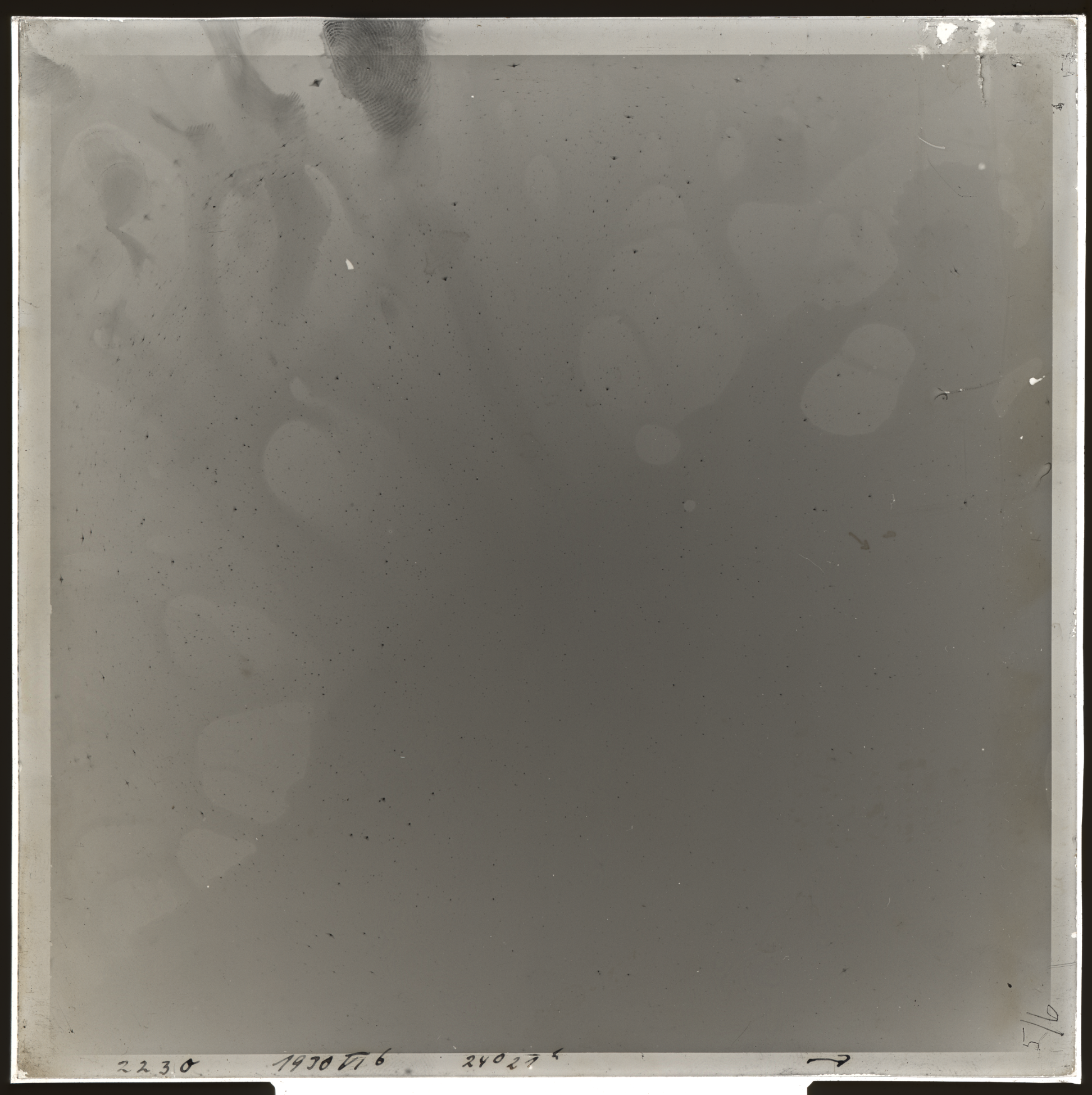 Plate preview