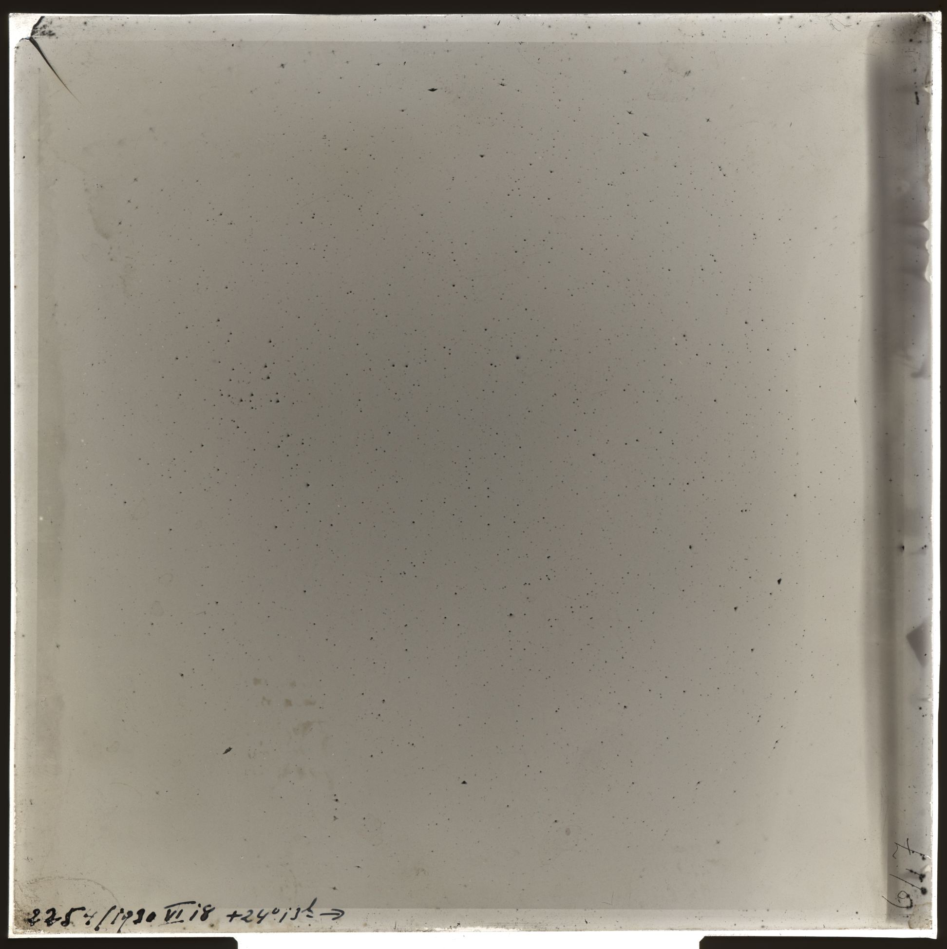 Plate preview