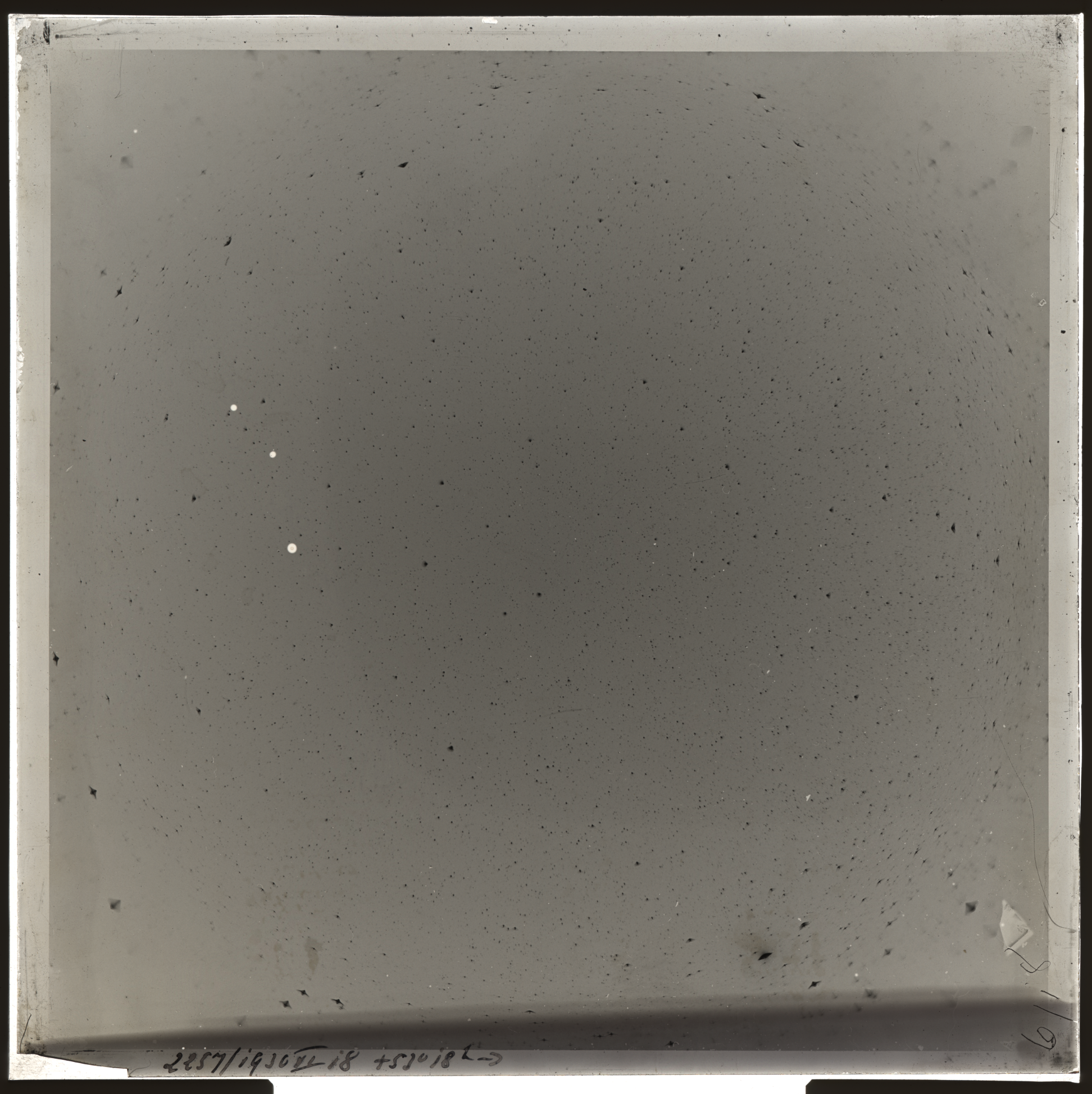 Plate preview