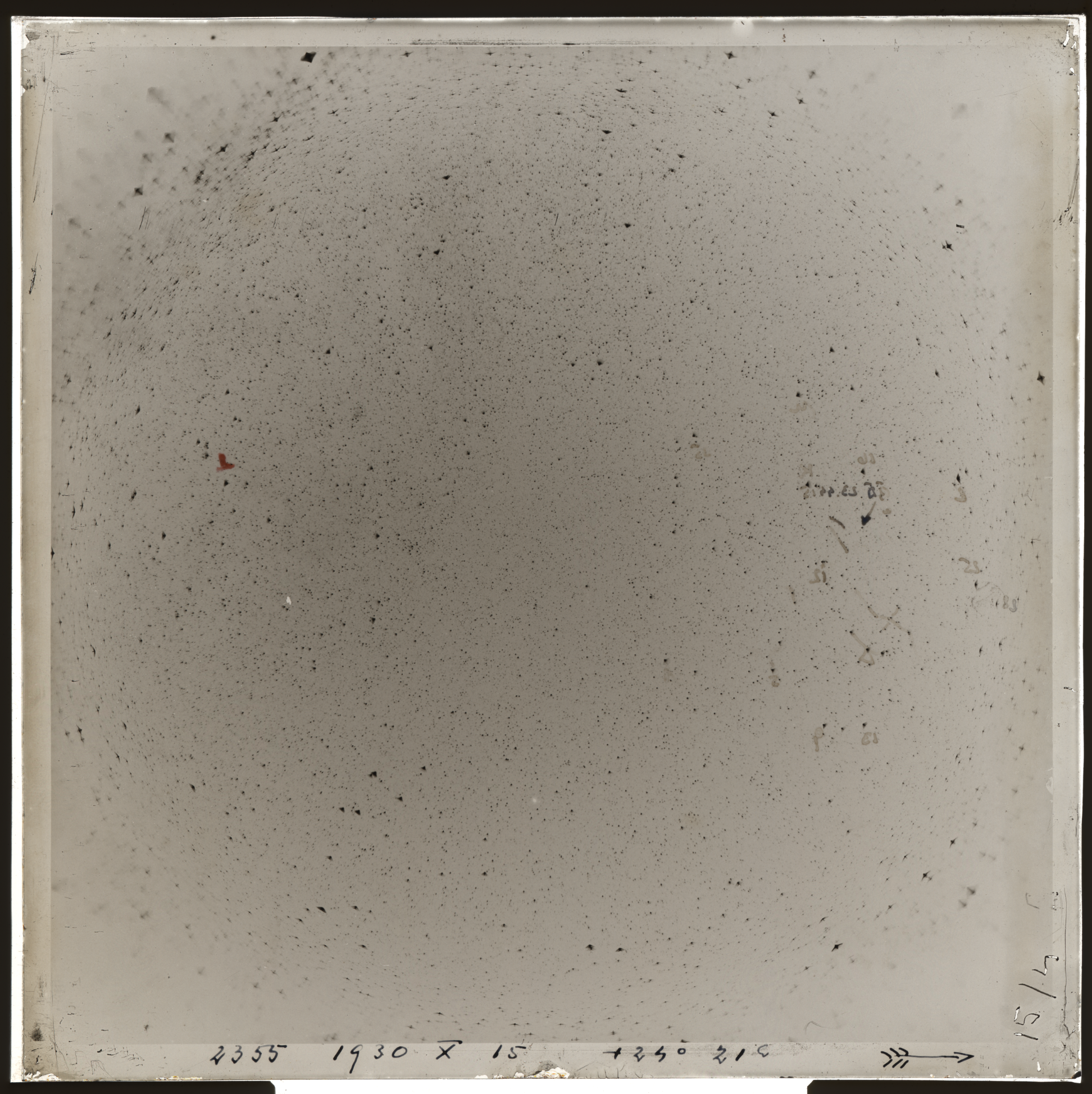 Plate preview