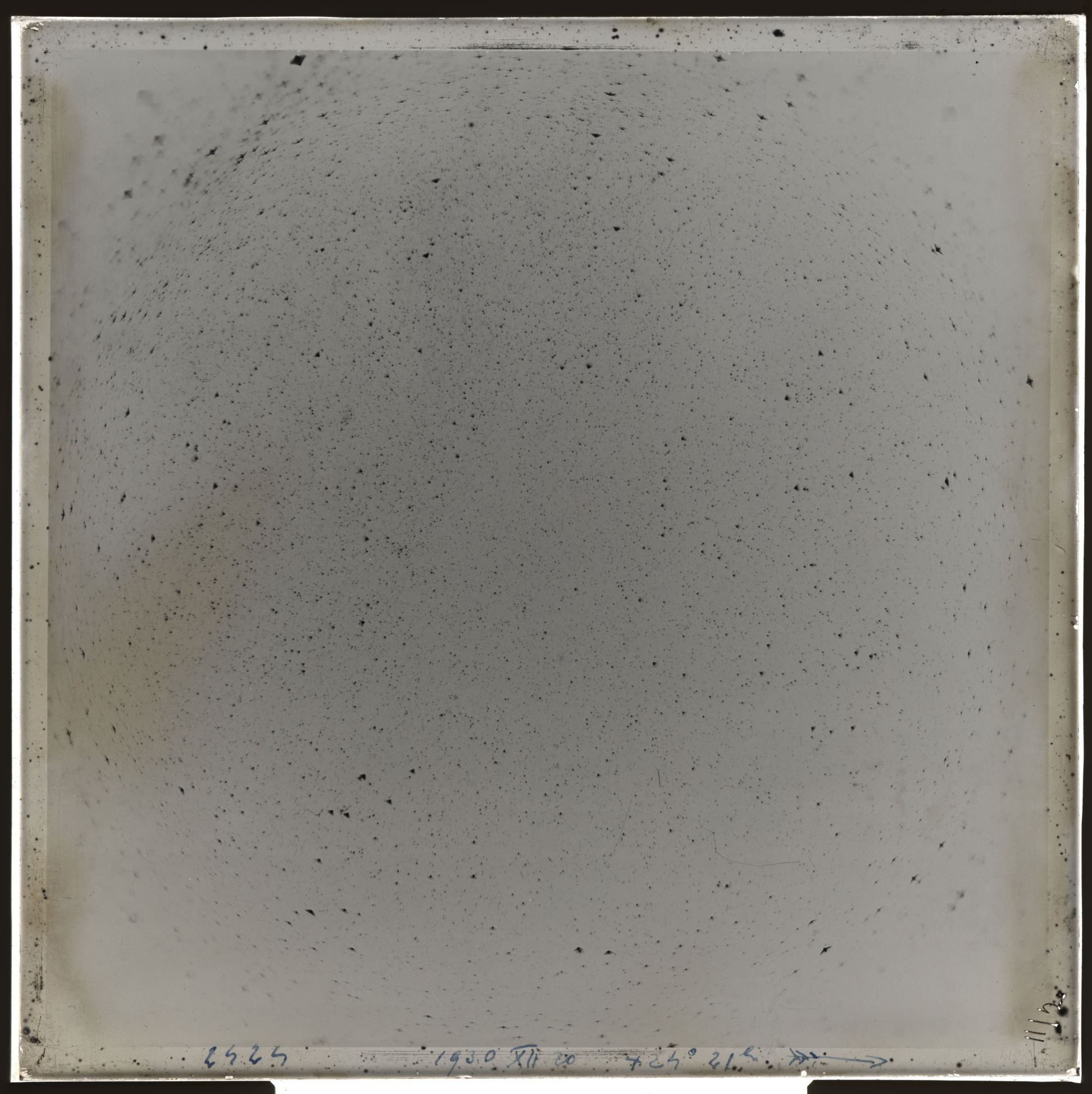 Plate preview