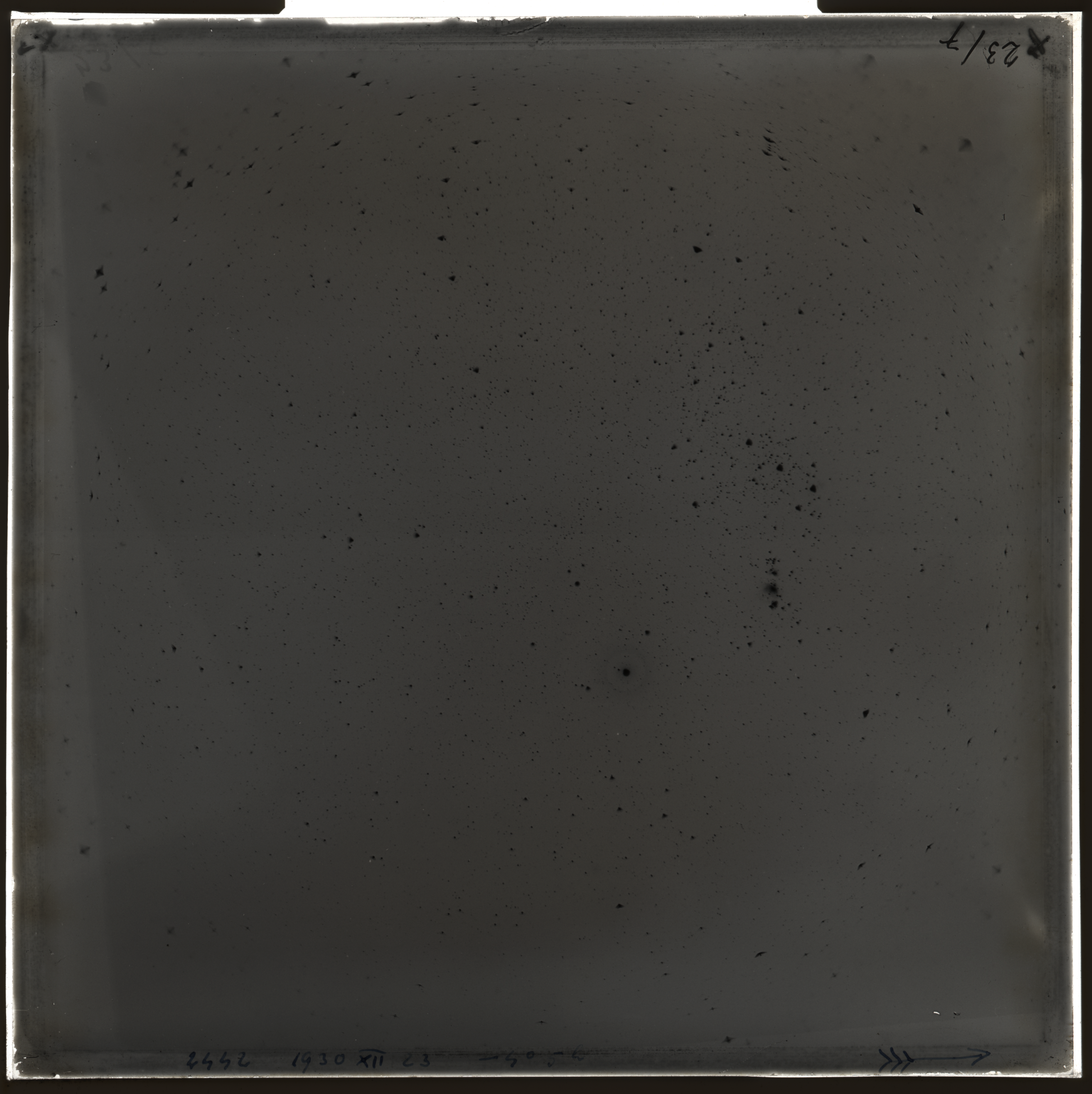 Plate preview