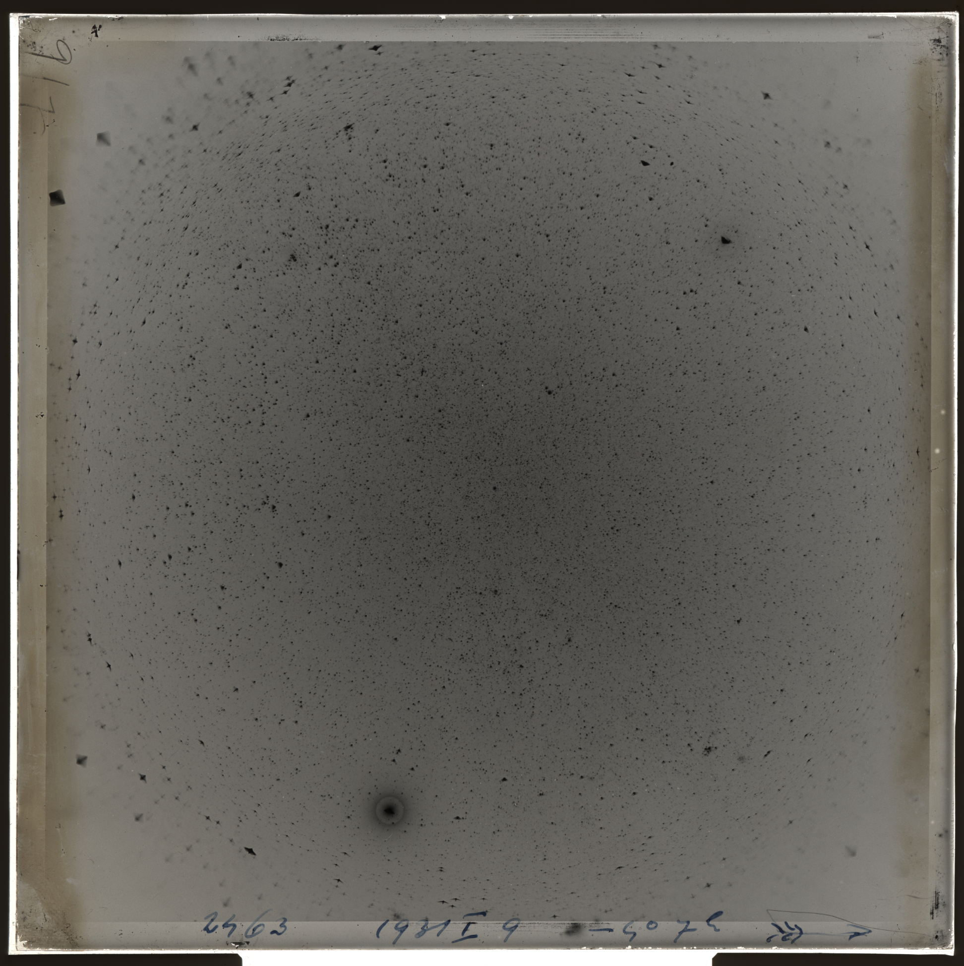 Plate preview