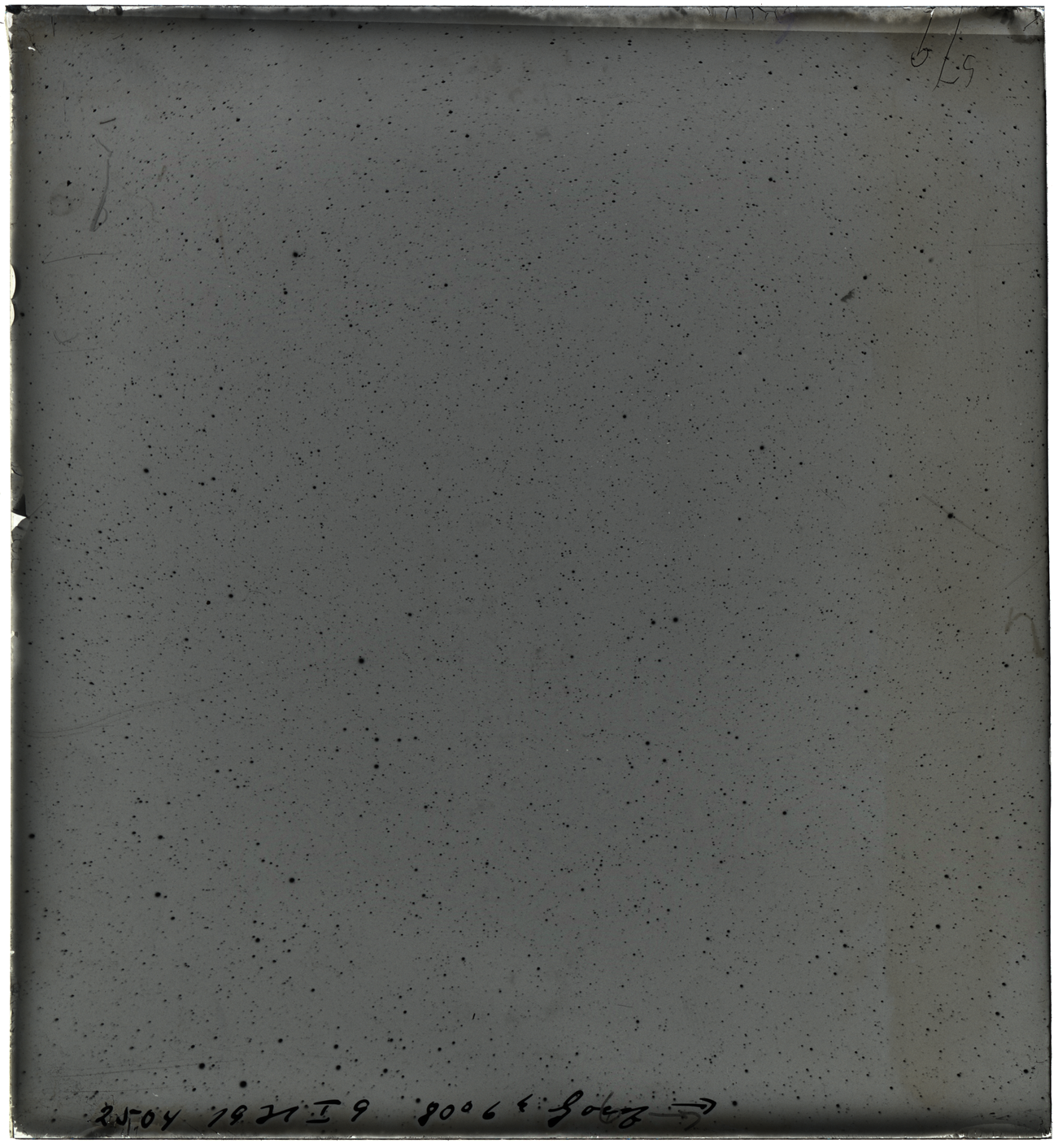 Plate preview