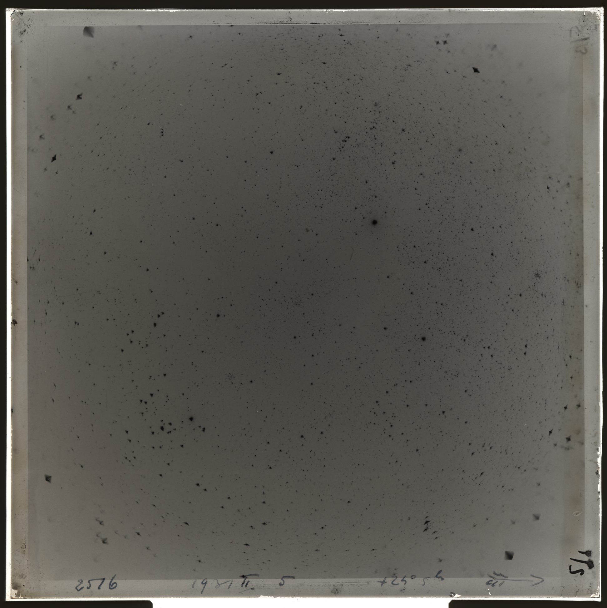 Plate preview