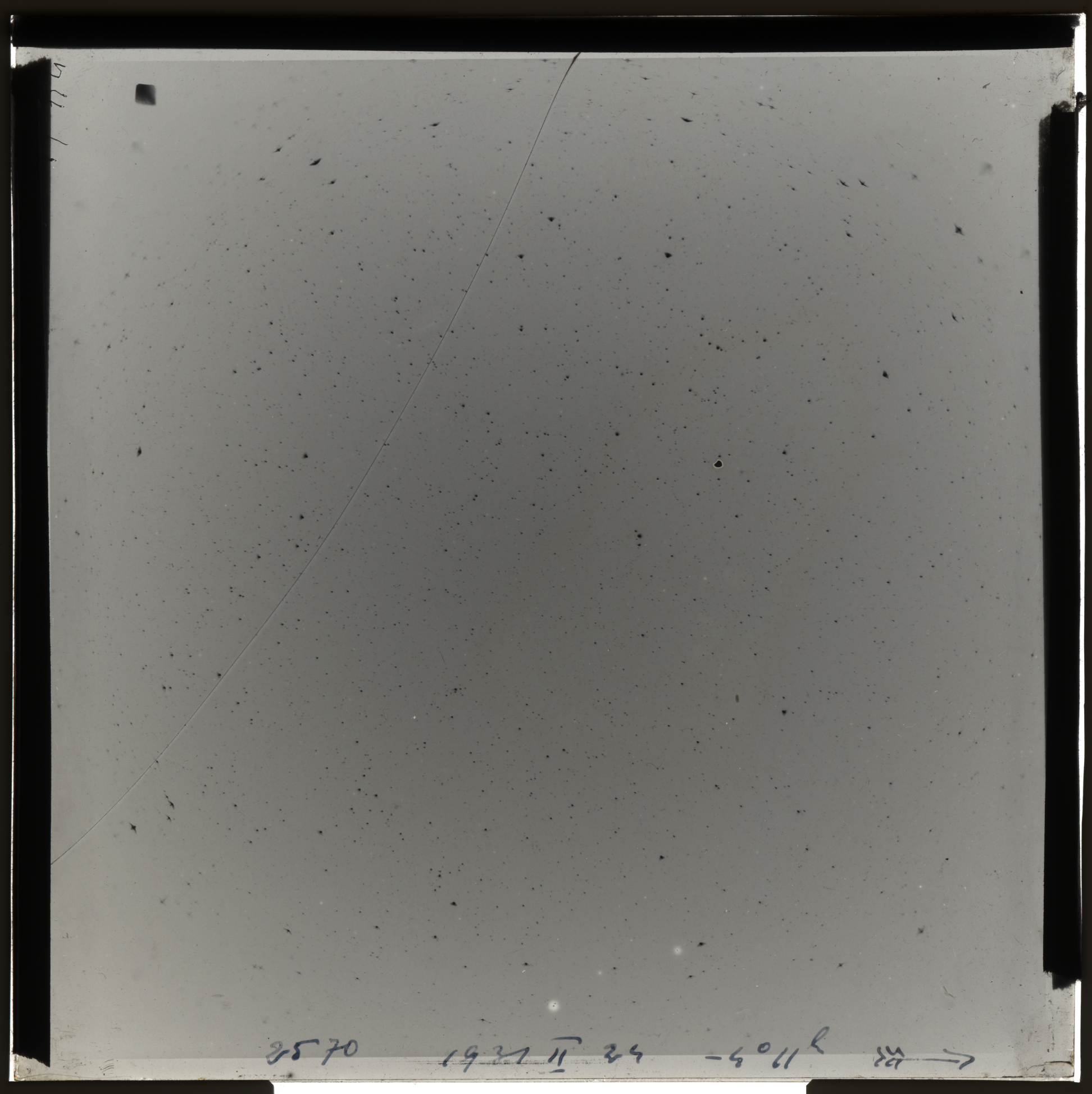 Plate preview