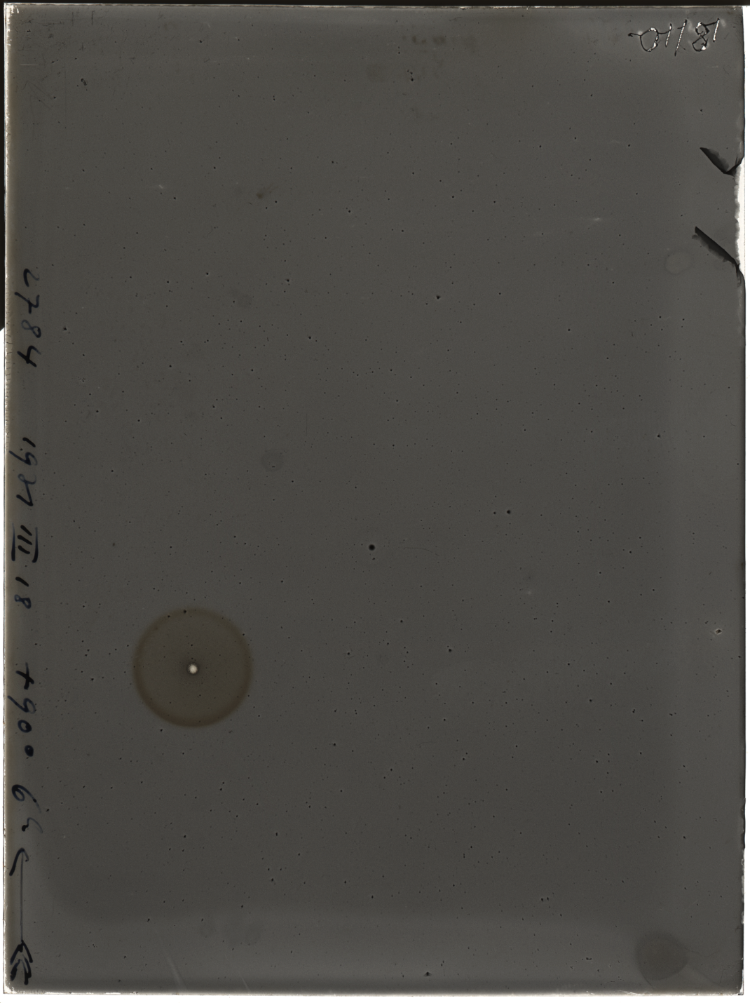 Plate preview