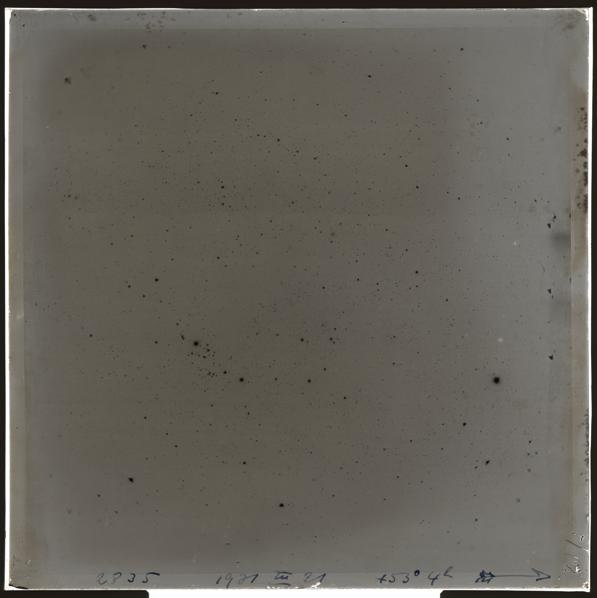 Plate preview