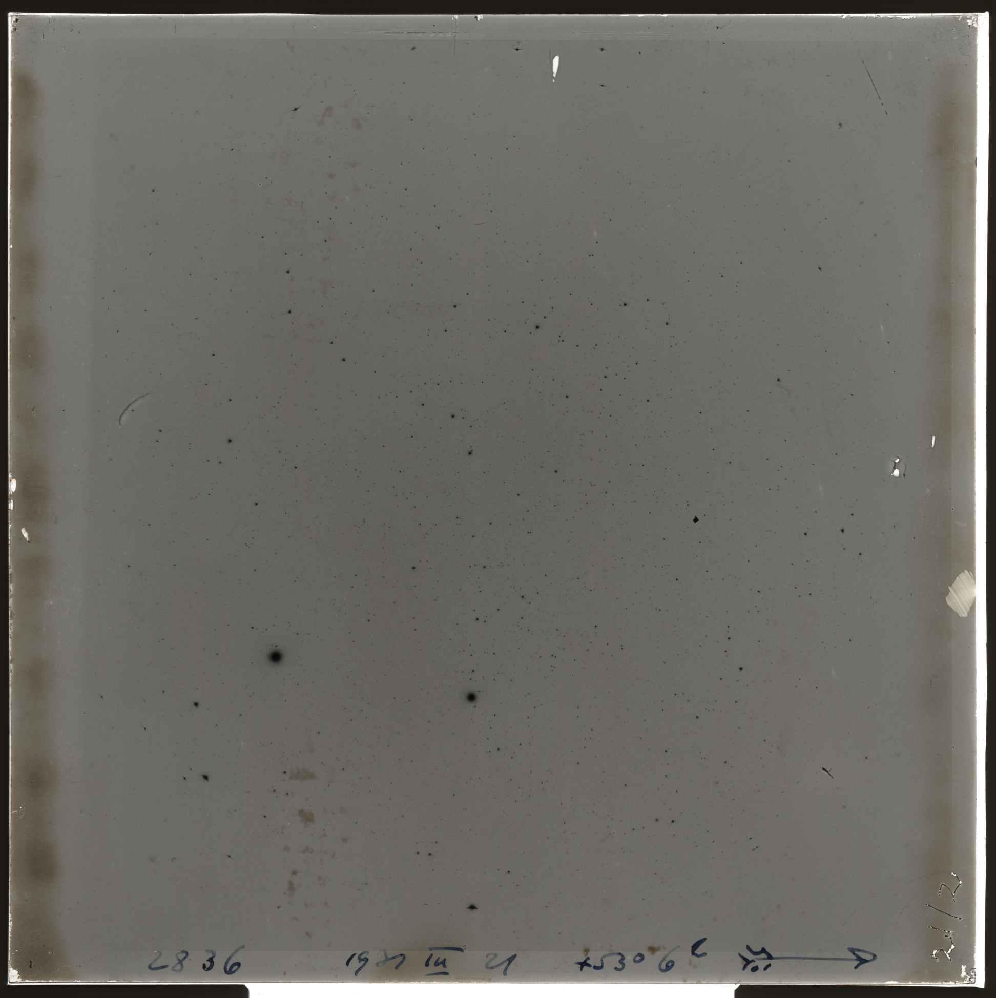 Plate preview