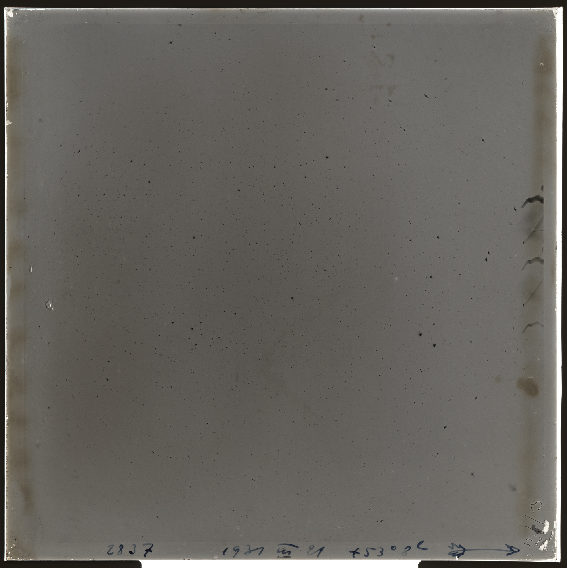 Plate preview