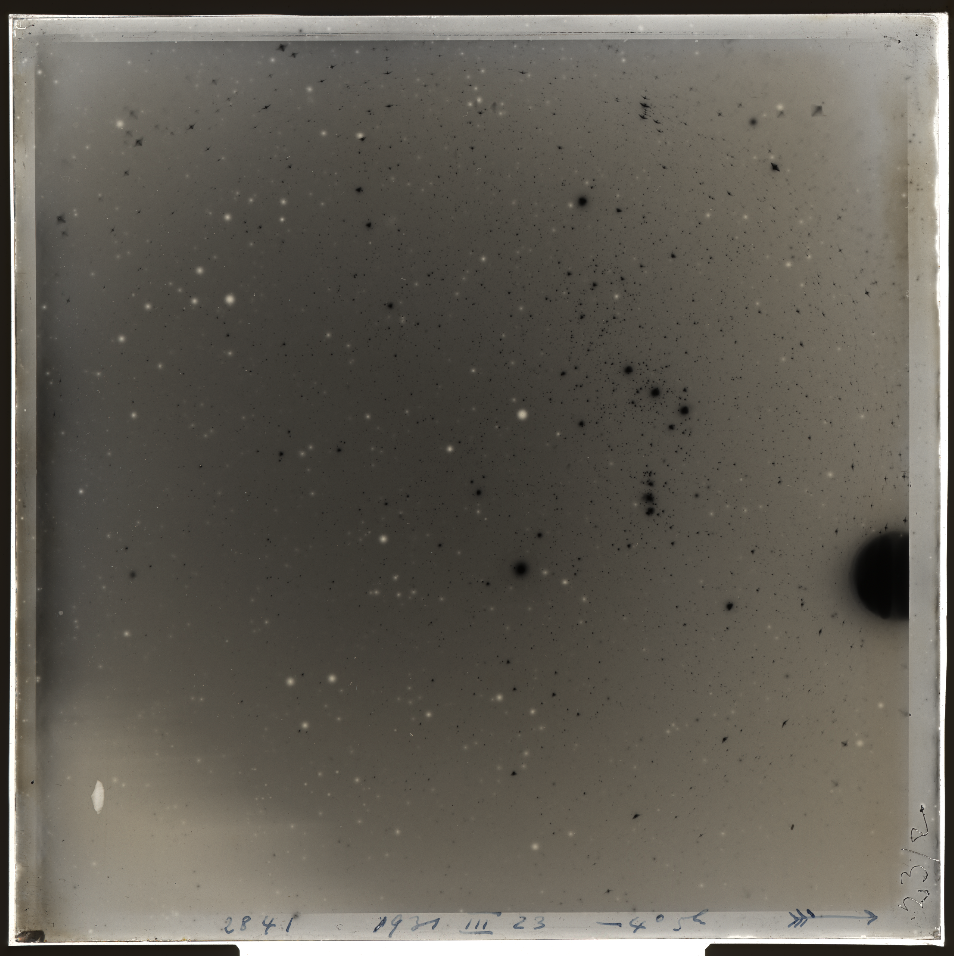 Plate preview