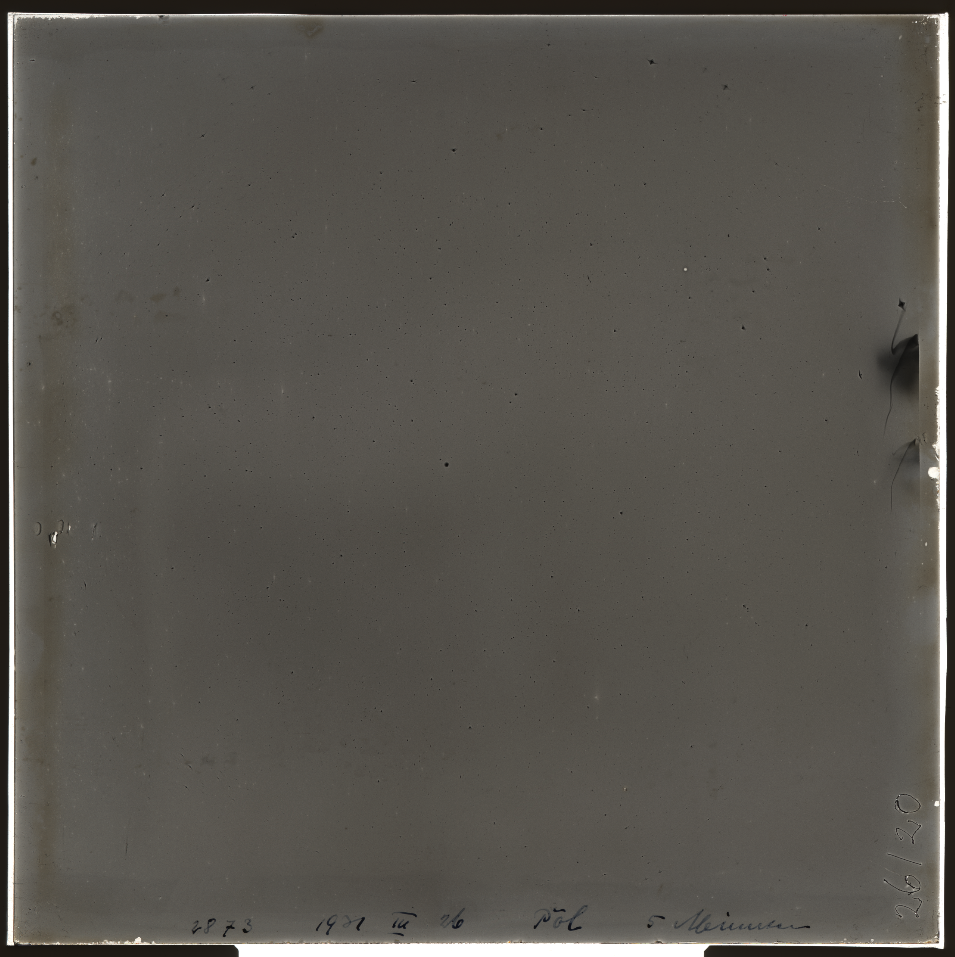 Plate preview