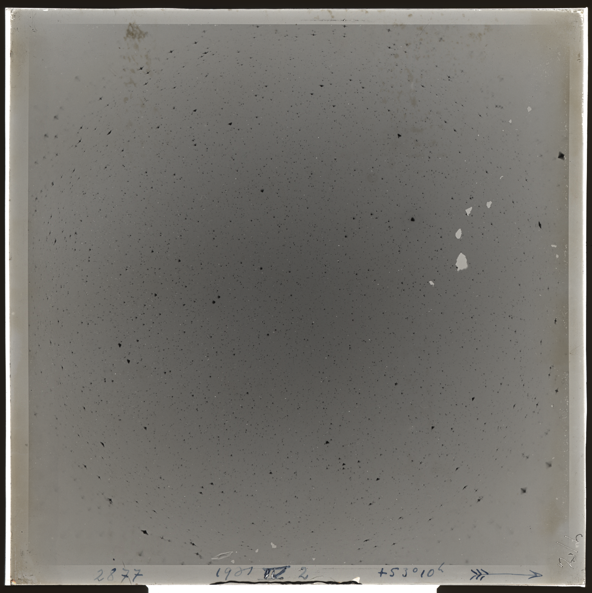 Plate preview