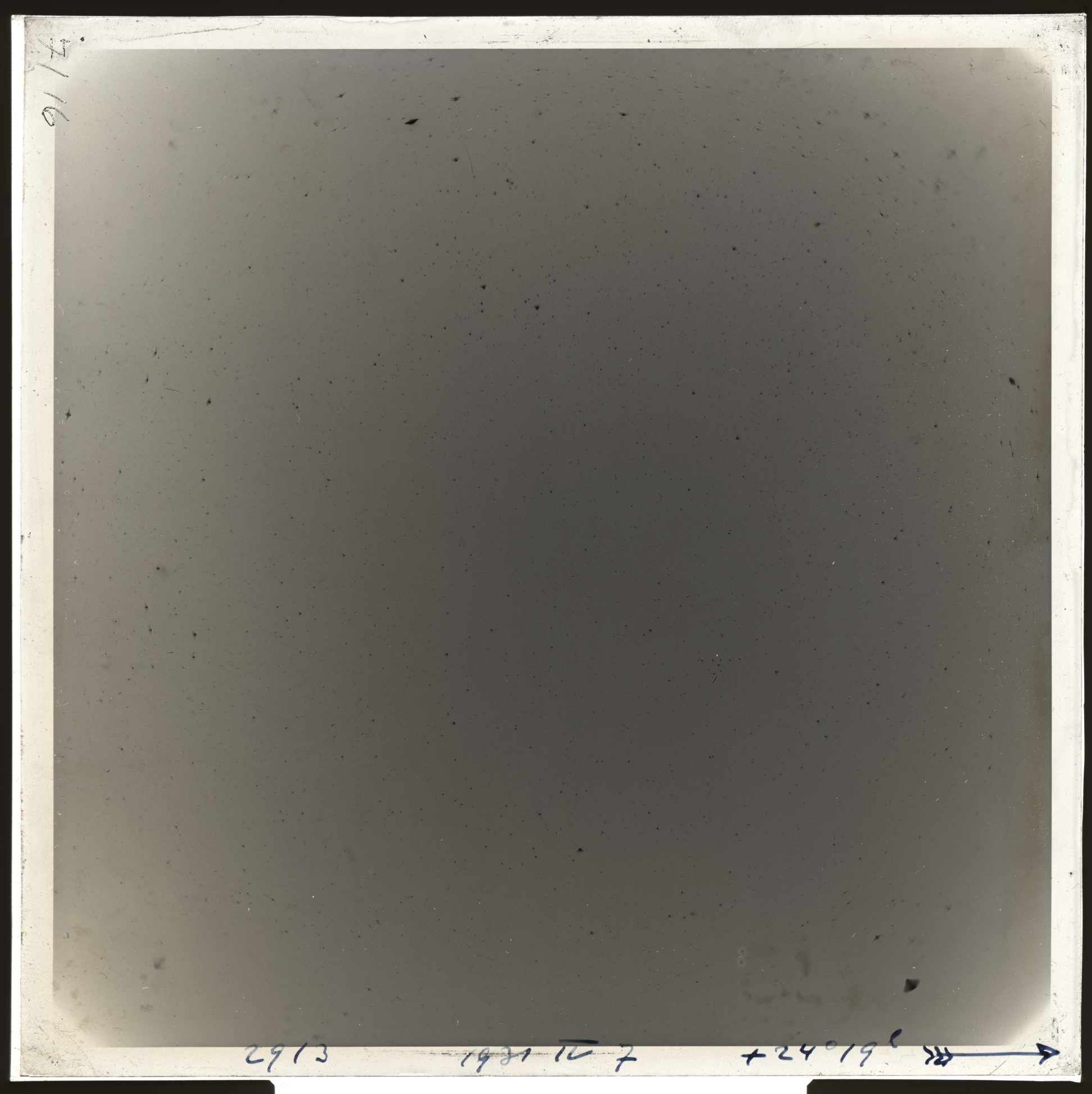 Plate preview