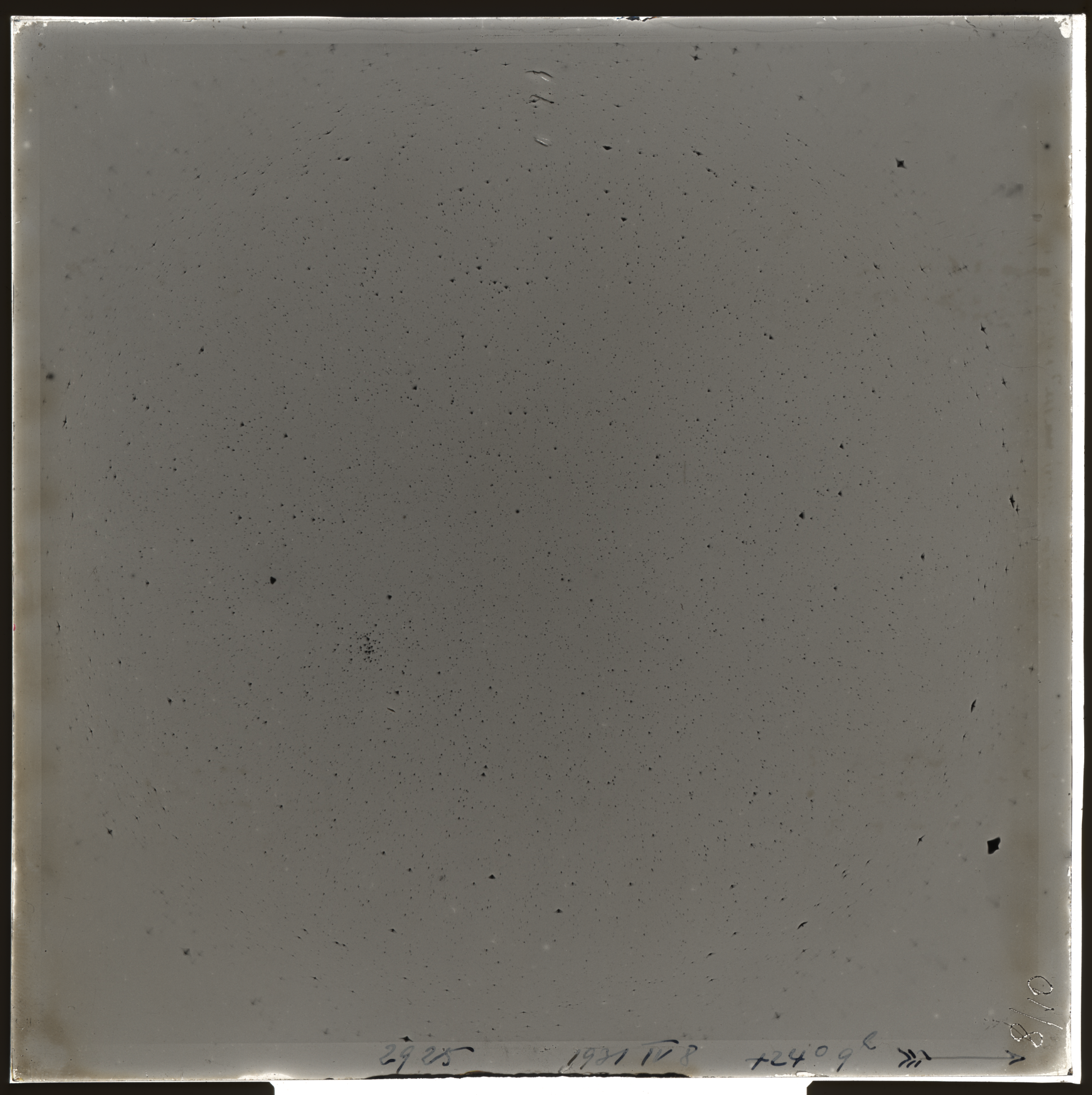 Plate preview