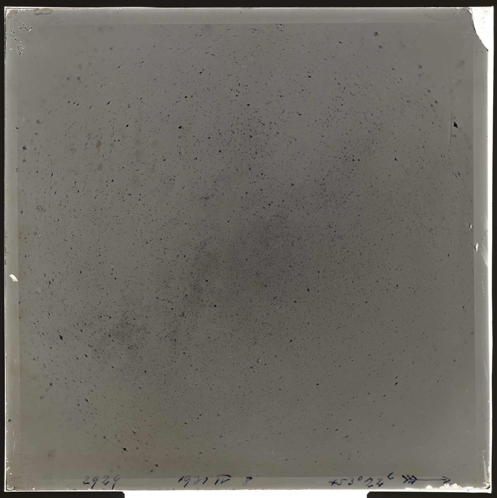 Plate preview