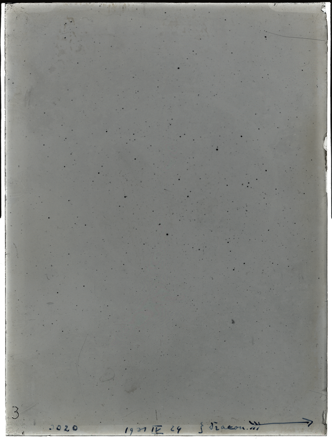 Plate preview