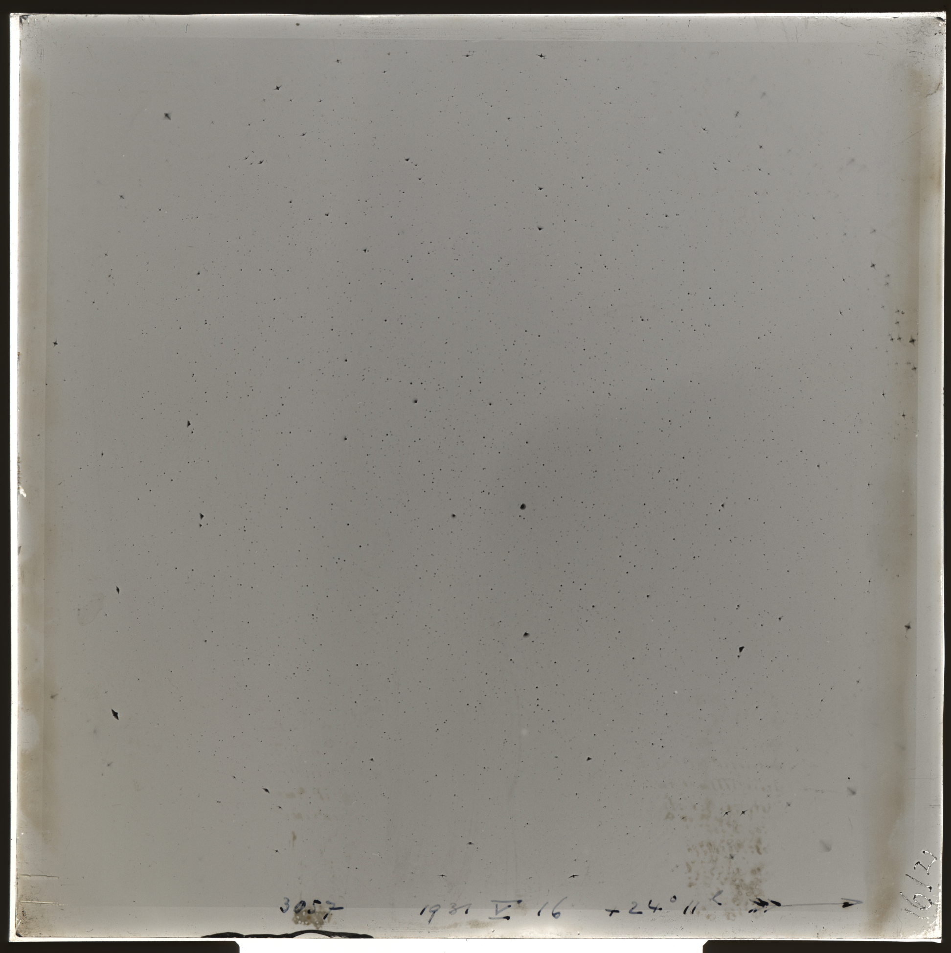 Plate preview