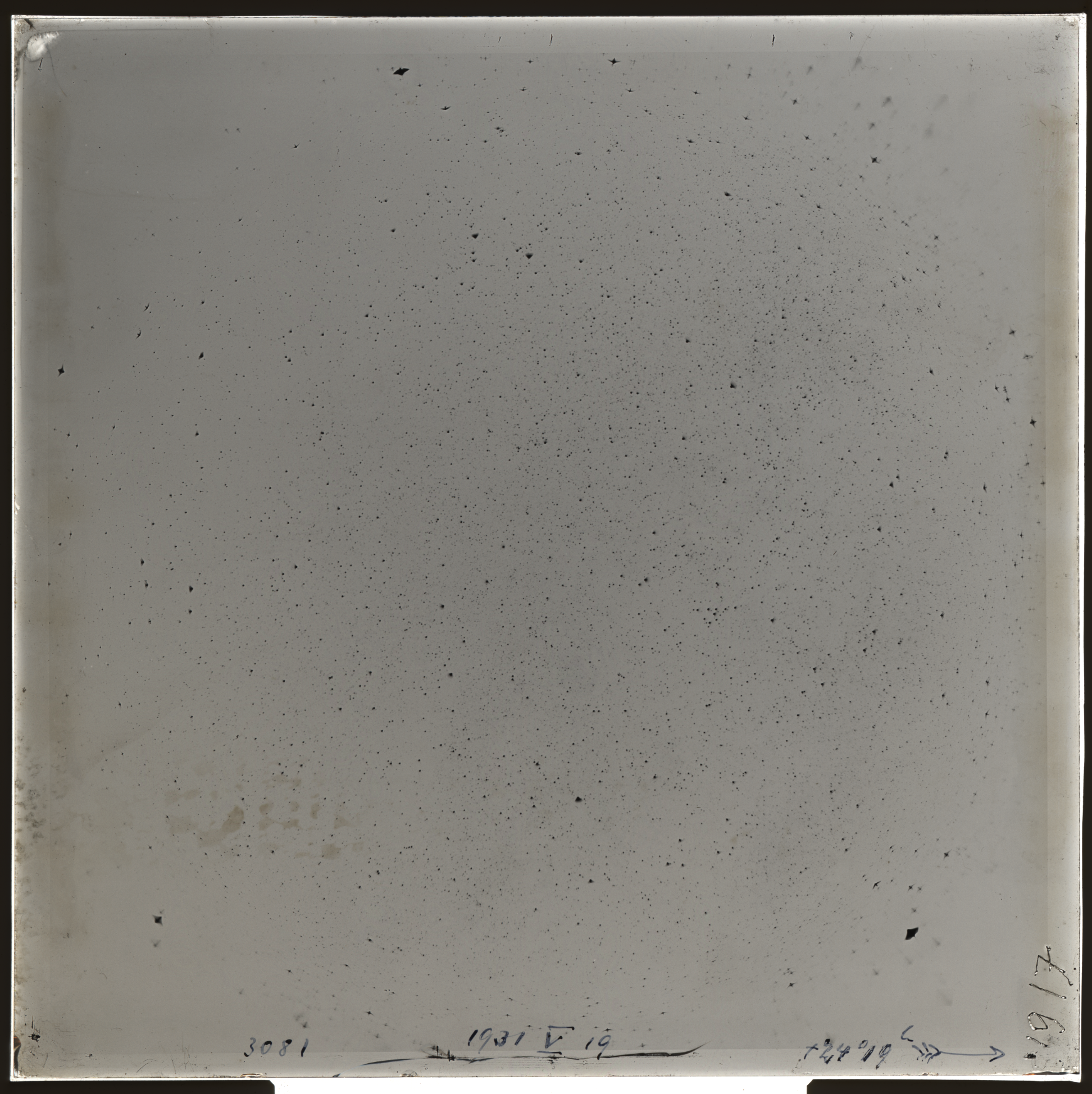 Plate preview