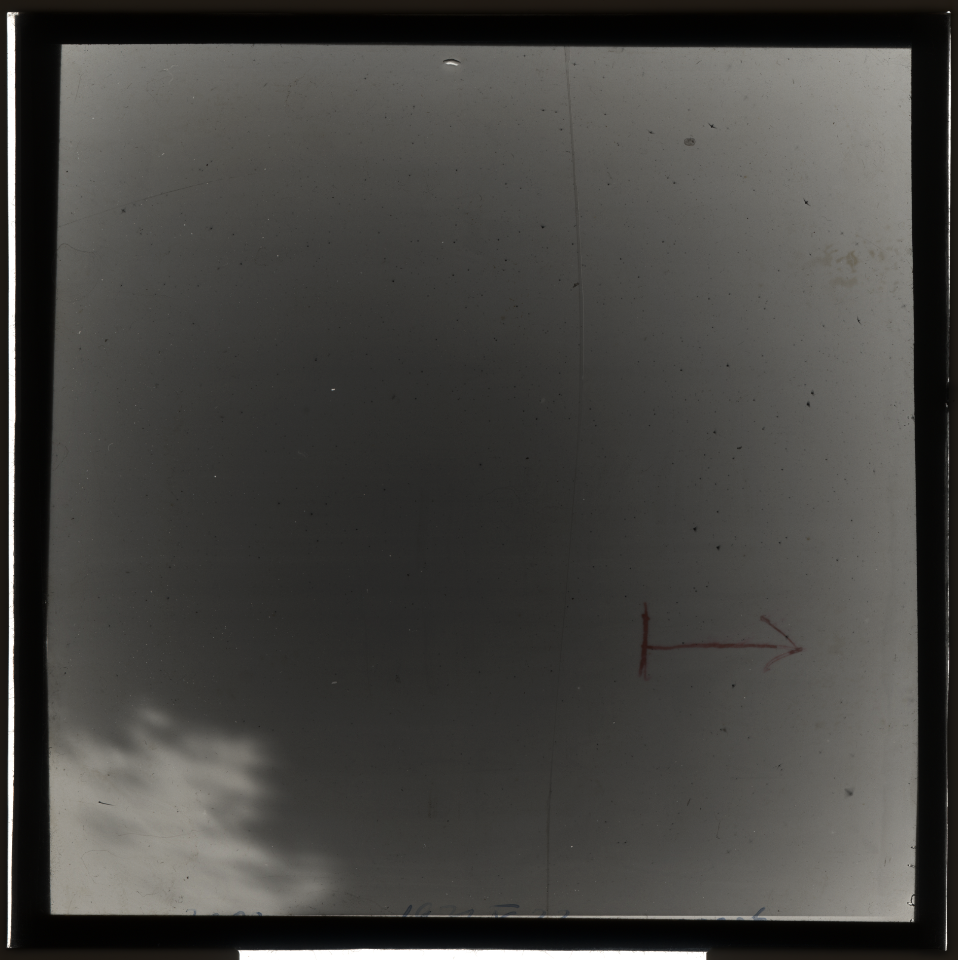 Plate preview