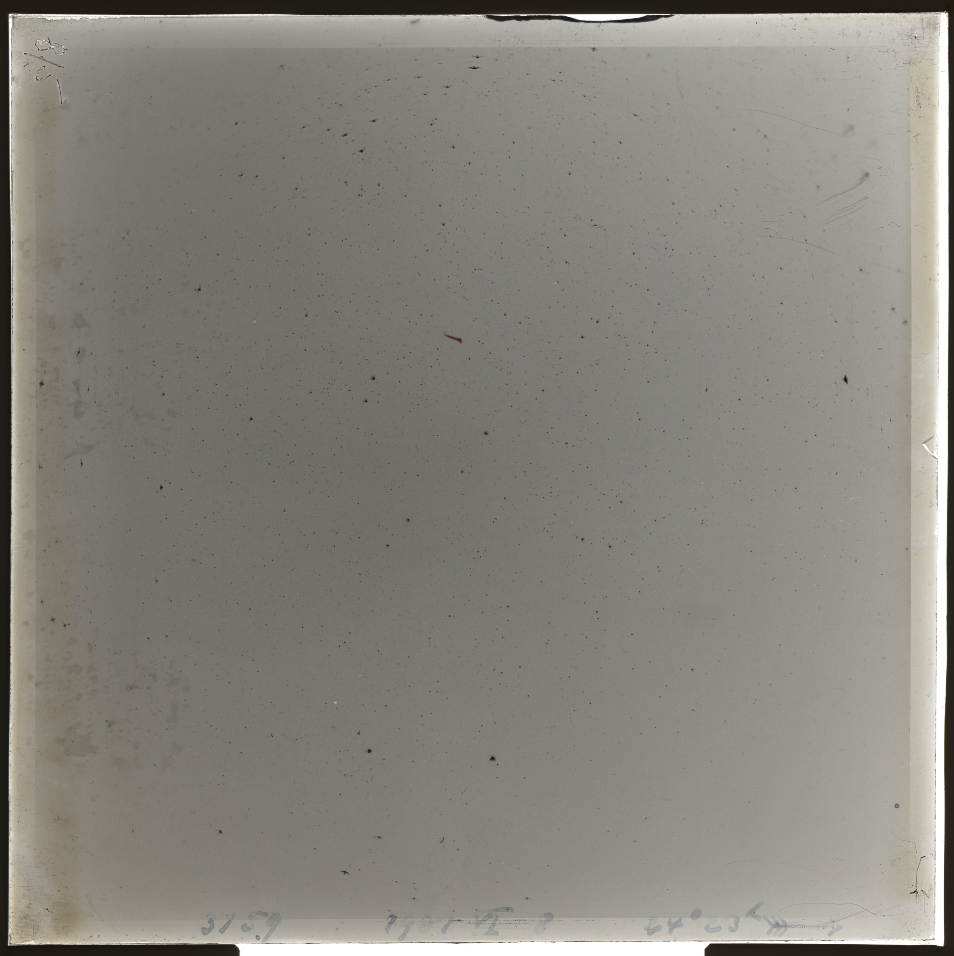 Plate preview