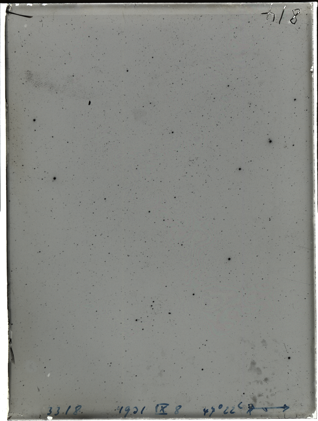 Plate preview
