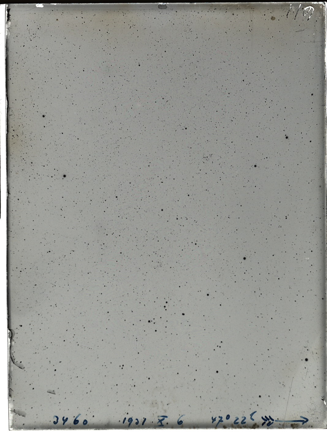 Plate preview