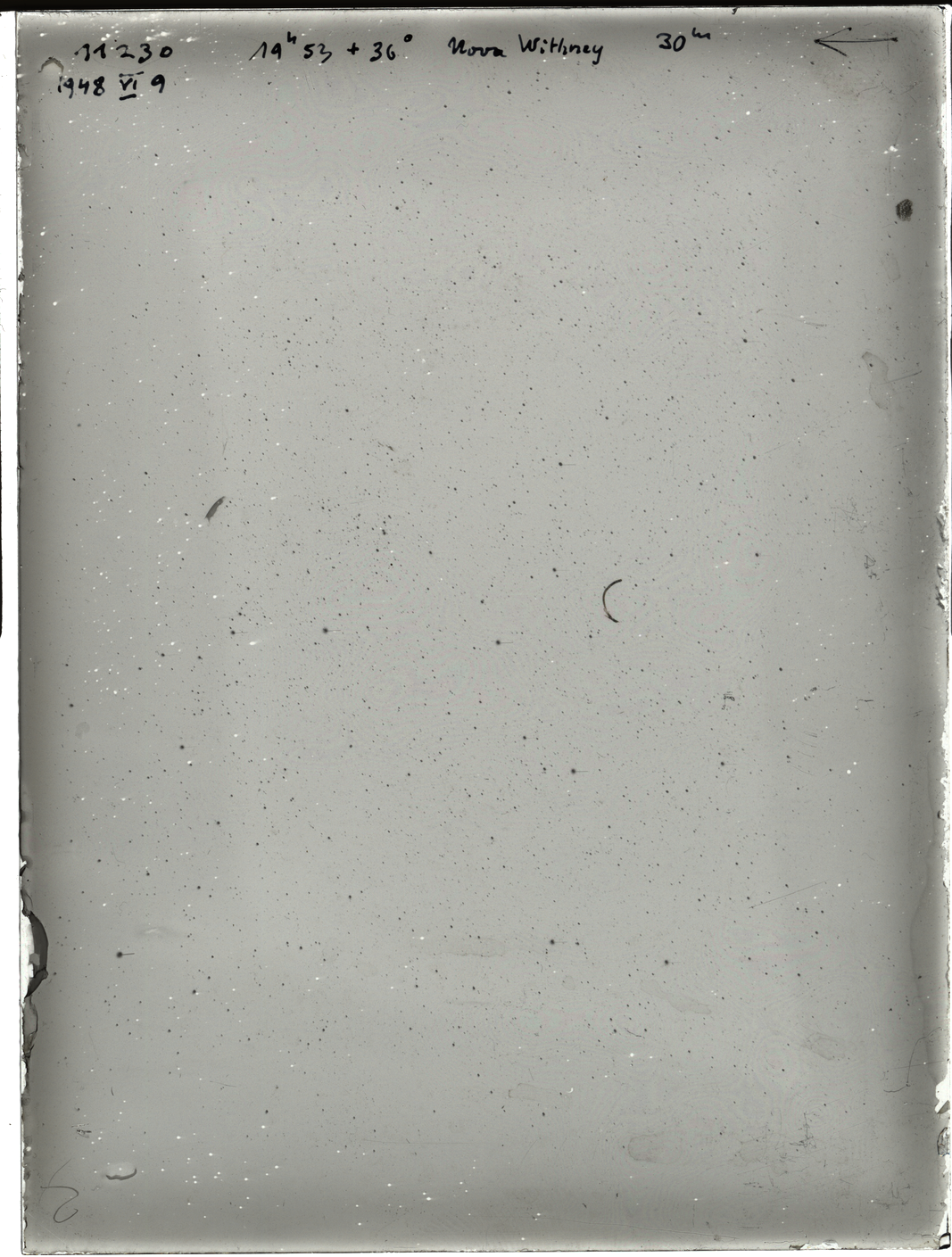 Plate preview