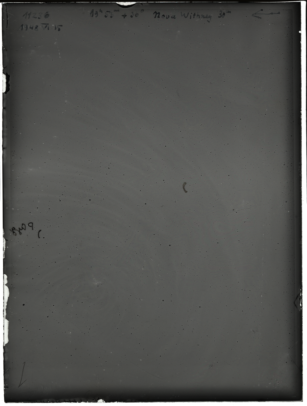 Plate preview