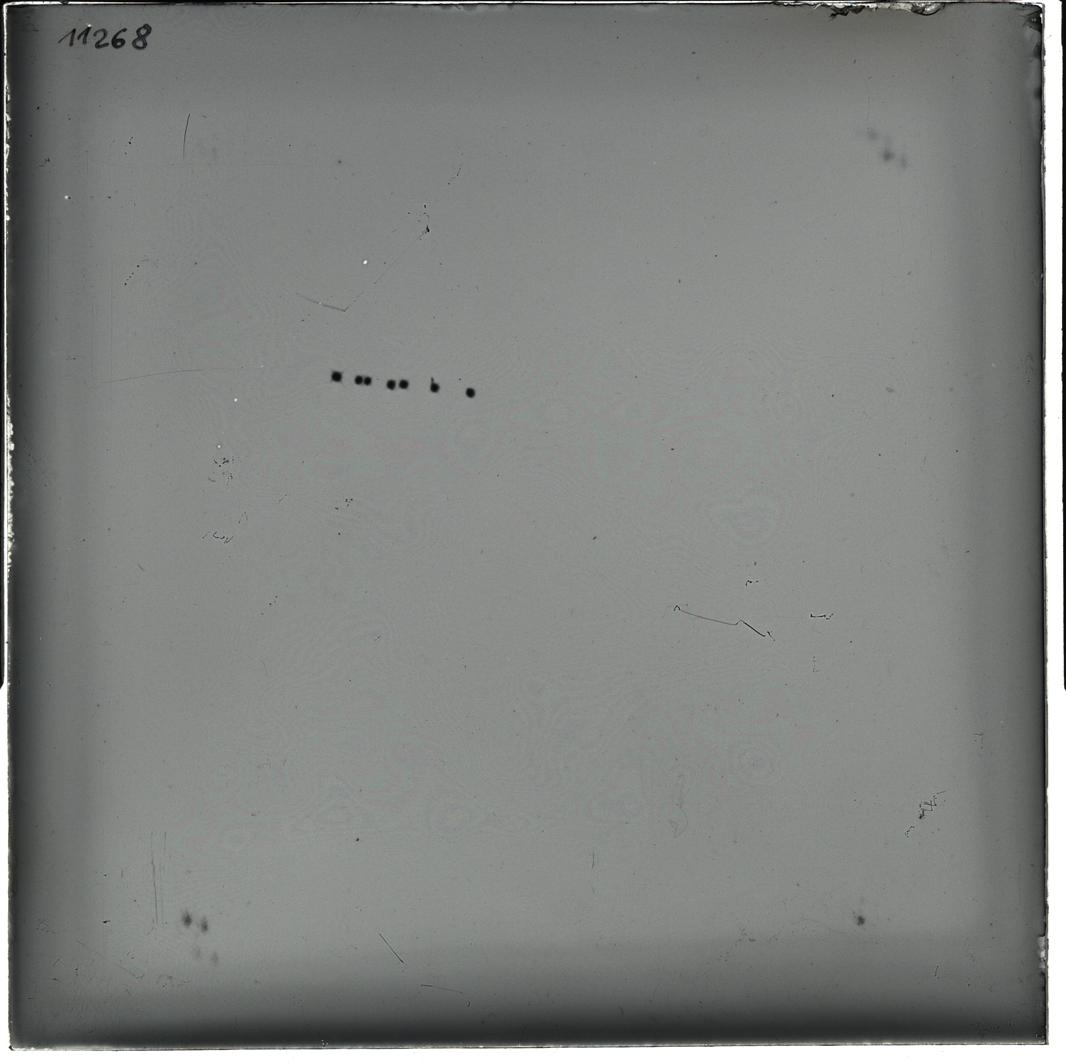 Plate preview
