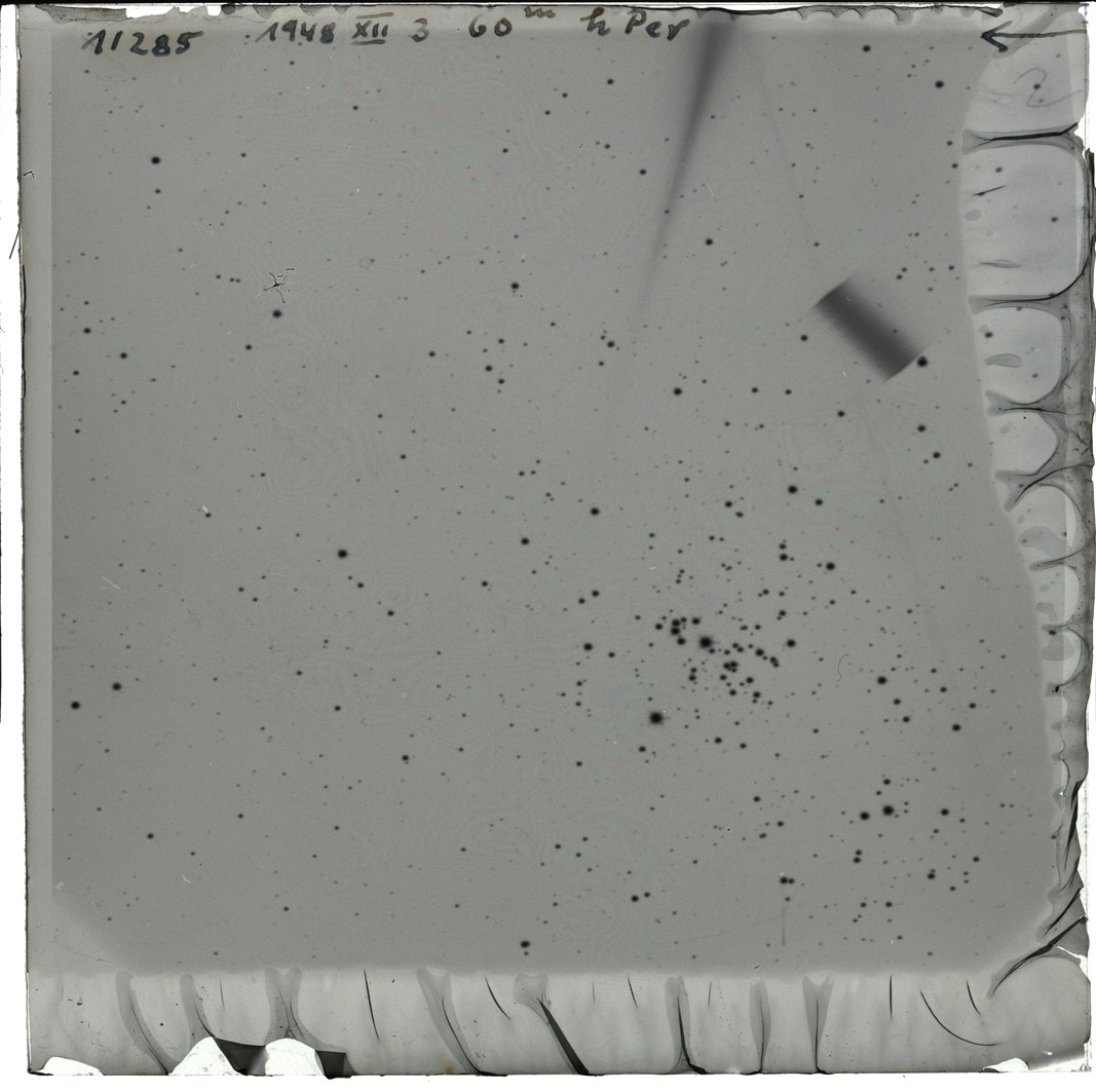 Plate preview