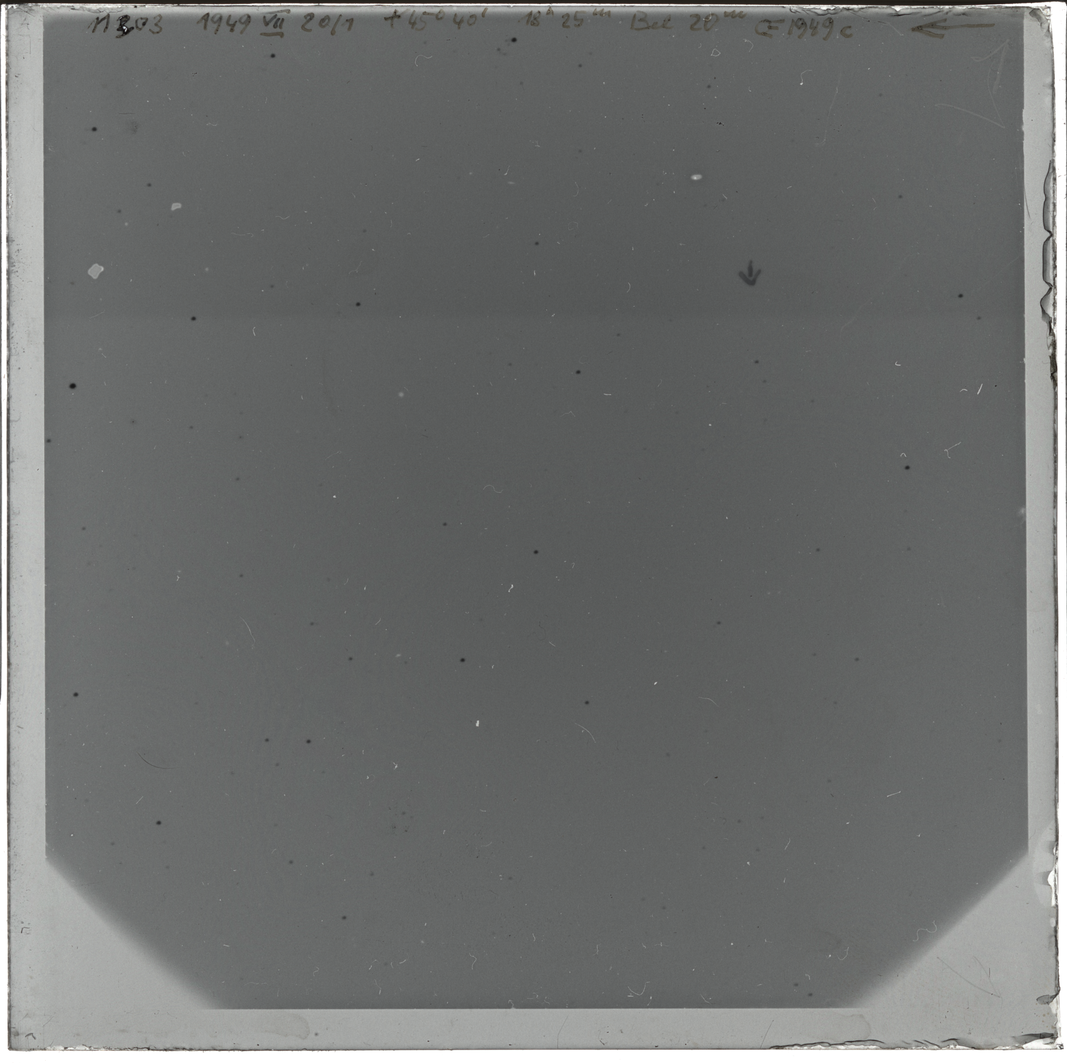 Plate preview