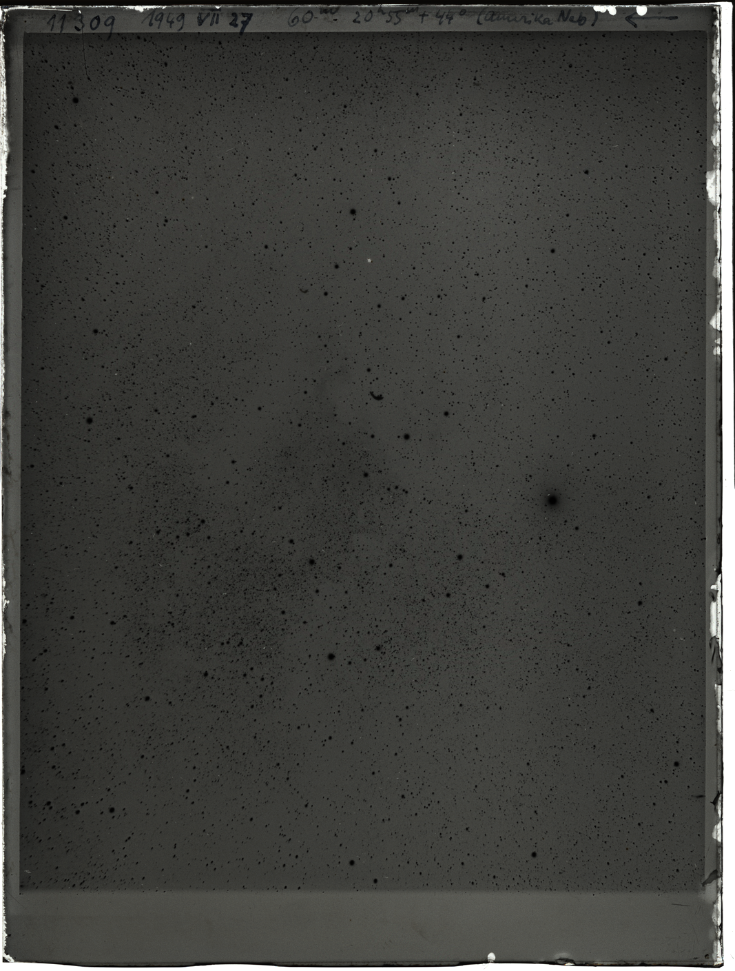 Plate preview
