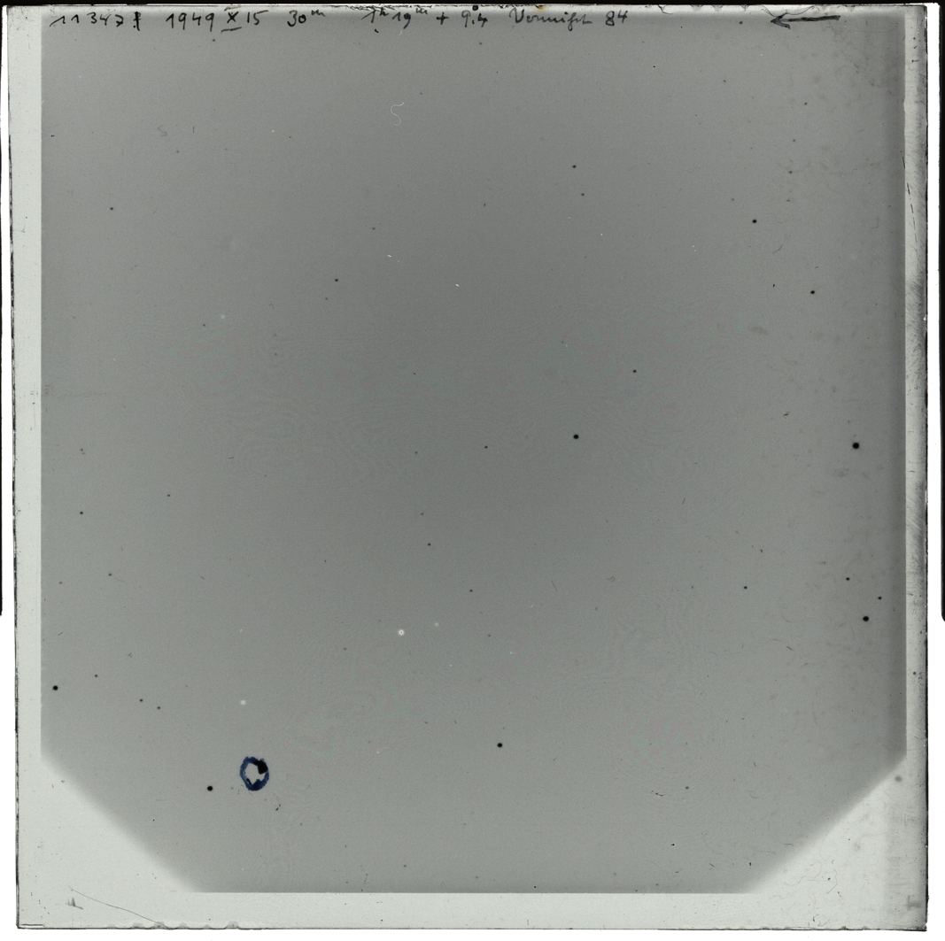 Plate preview