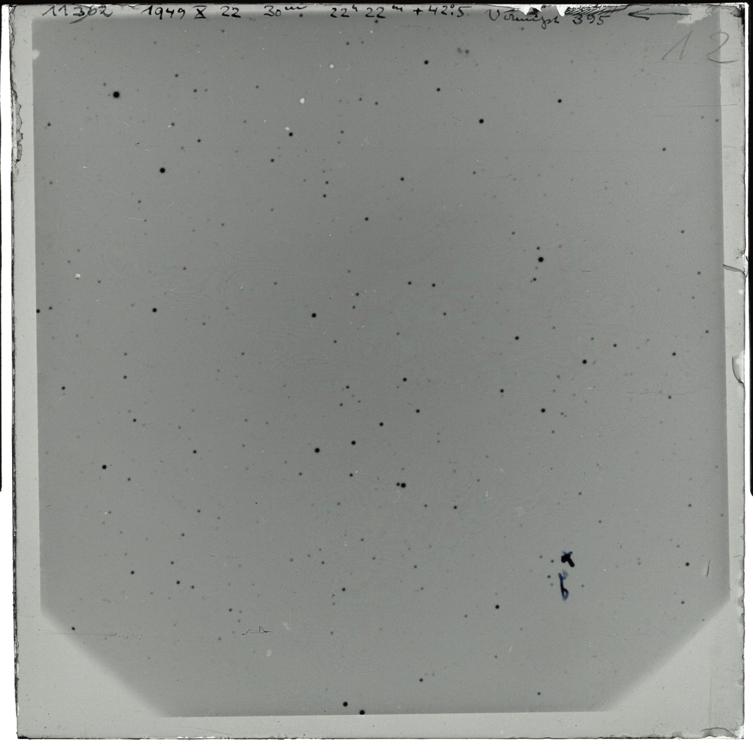 Plate preview