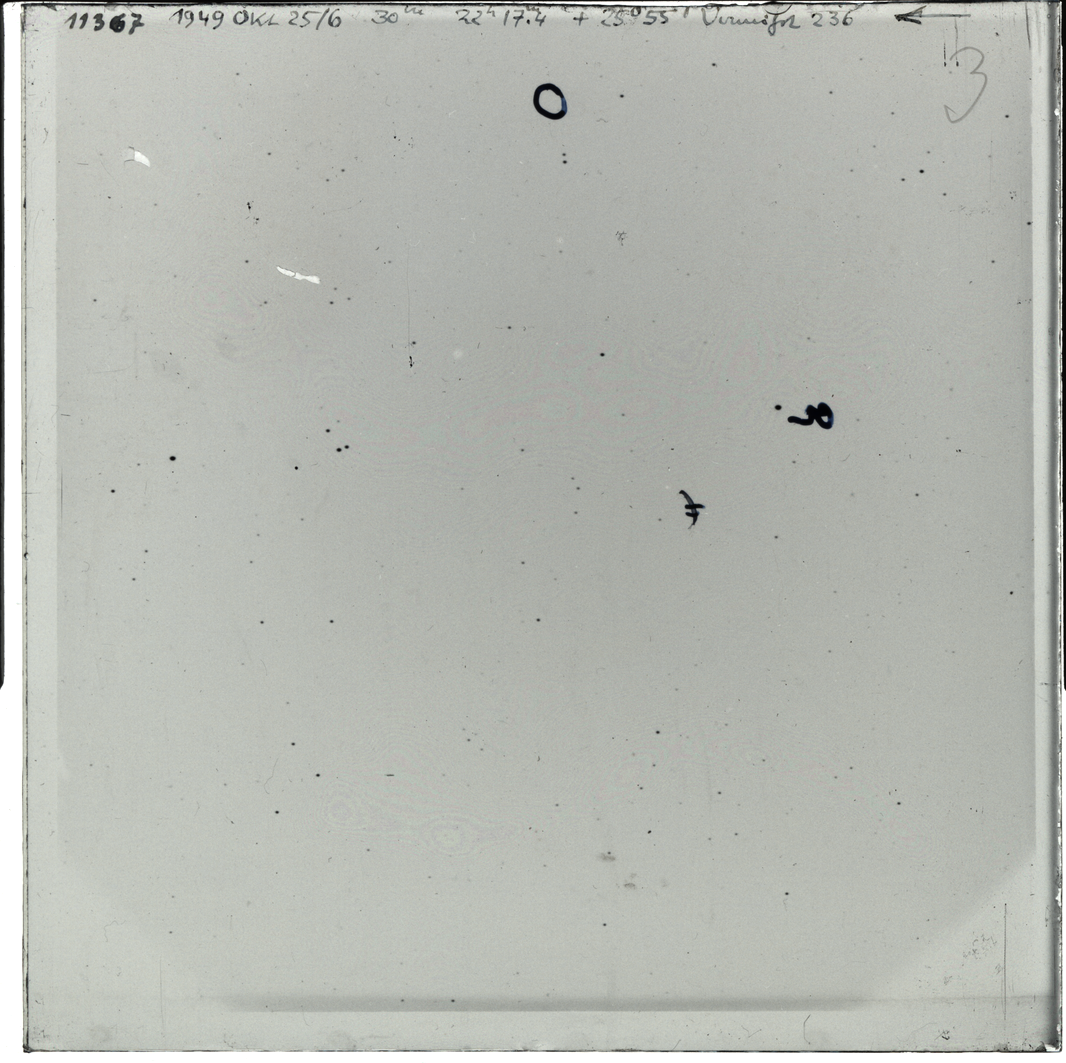 Plate preview