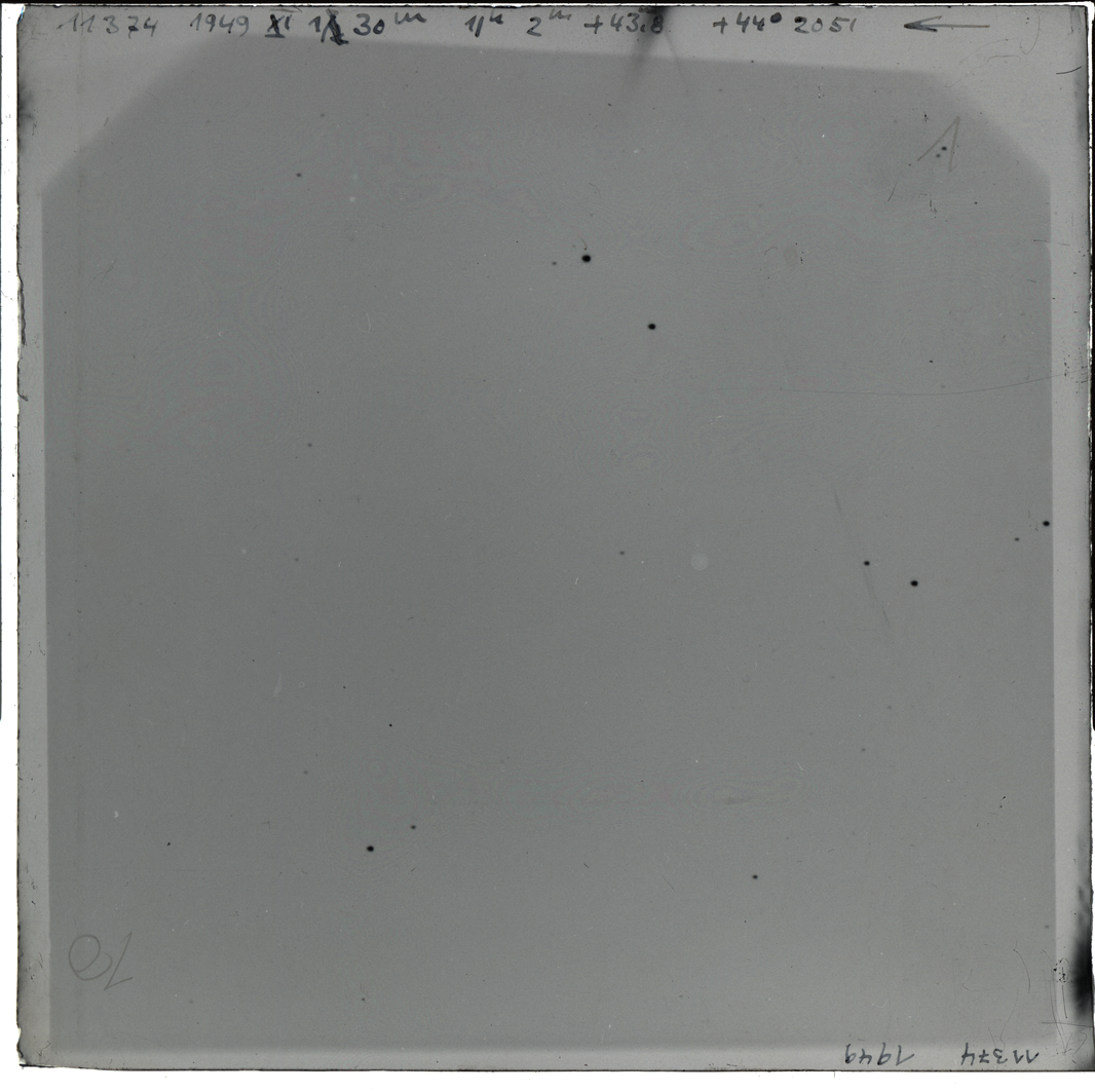 Plate preview