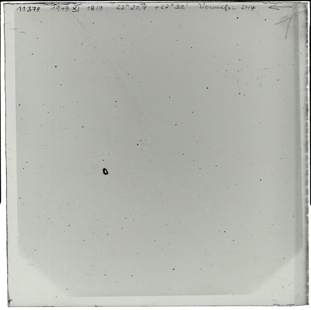 Plate preview