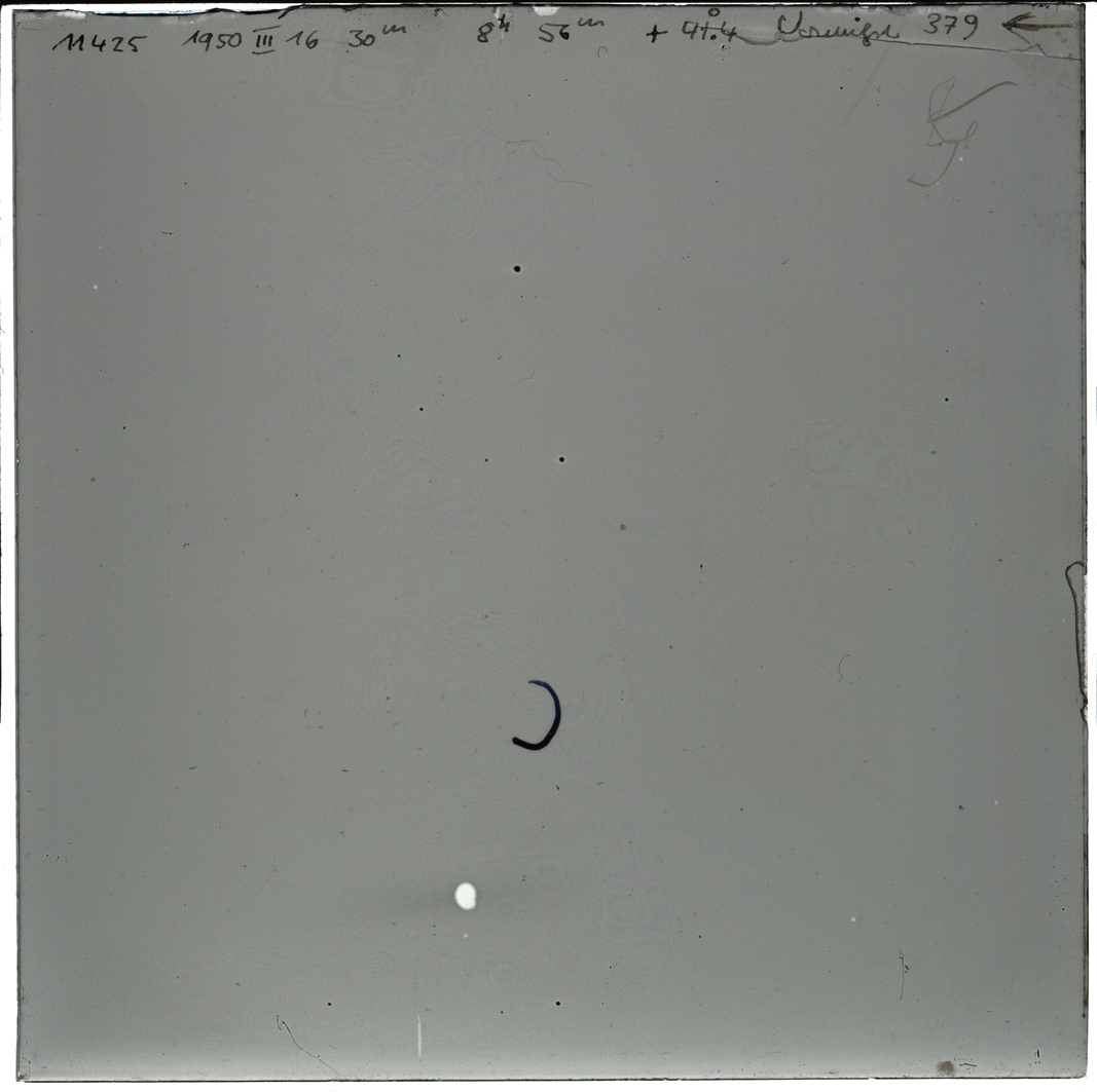 Plate preview