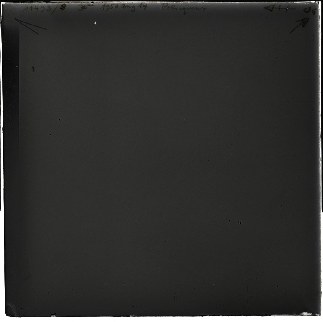 Plate preview