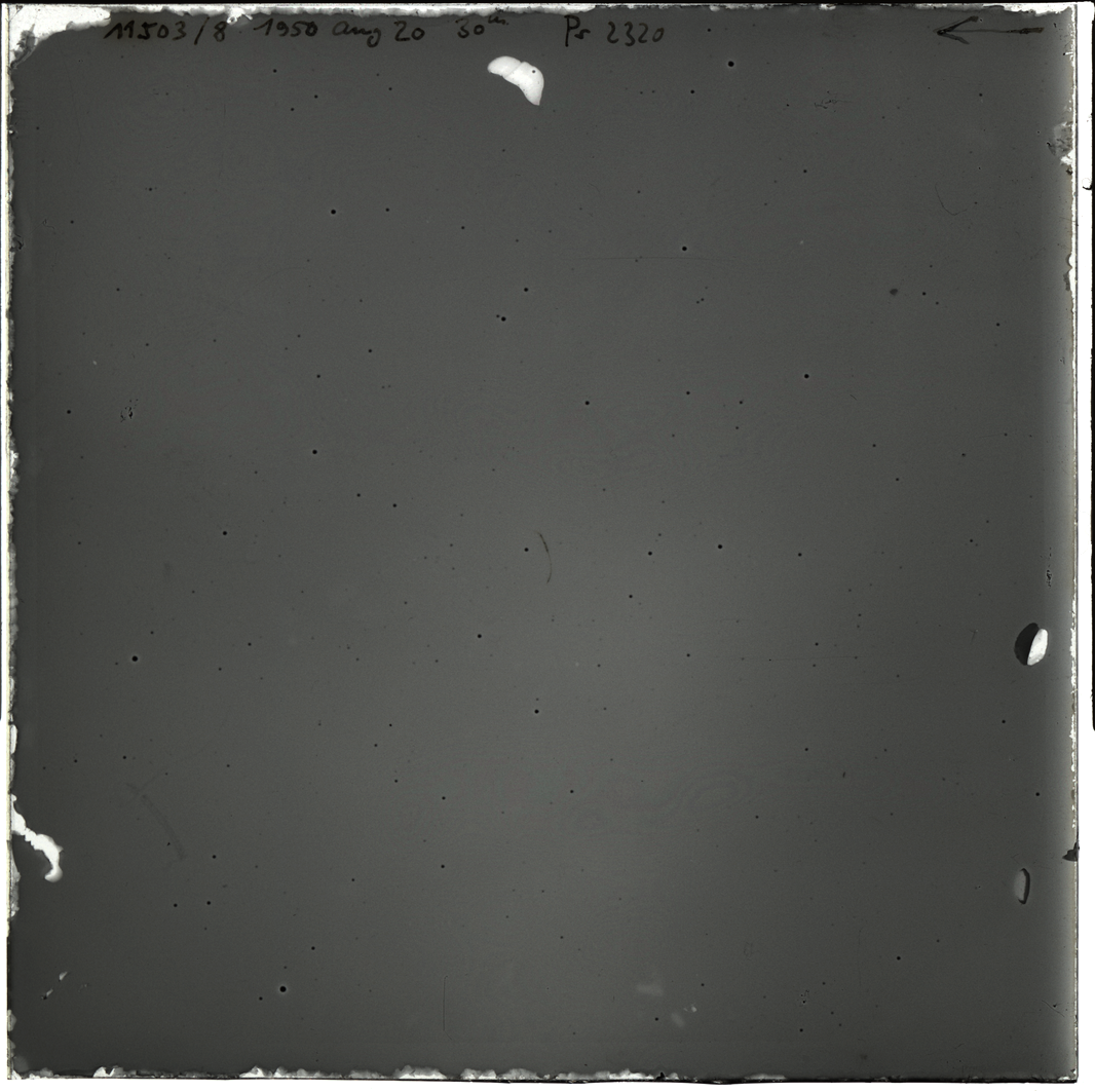 Plate preview
